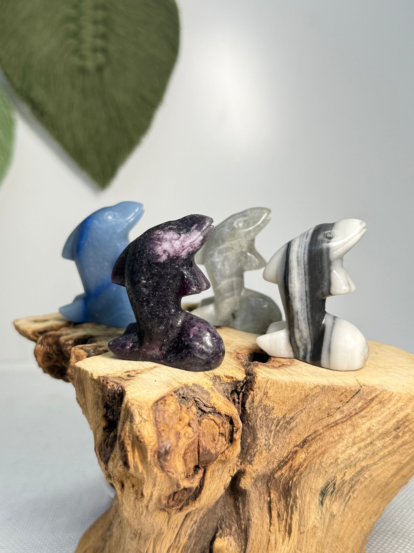 Dolphin Carvings