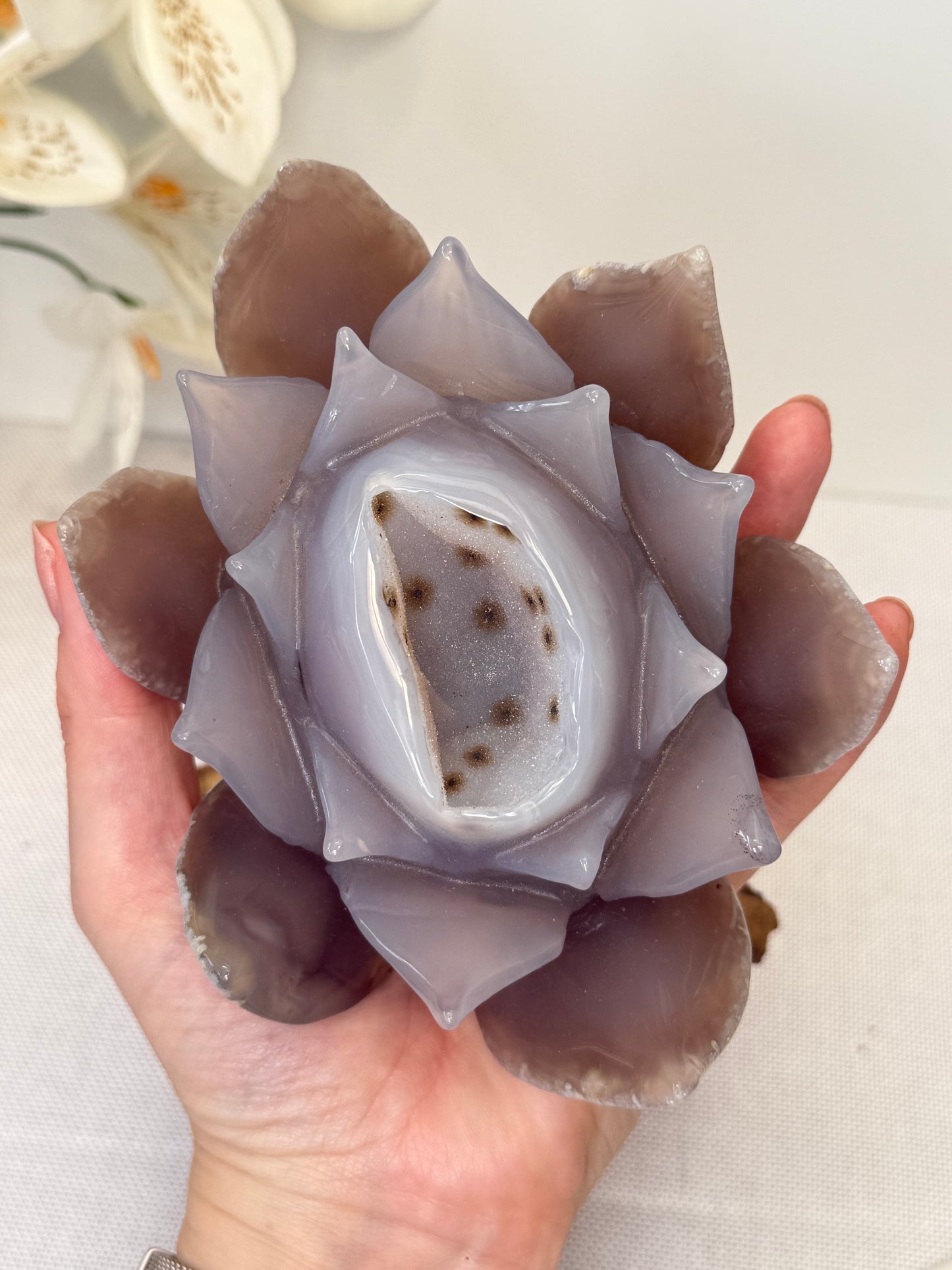Large Druzy Agate Lotus