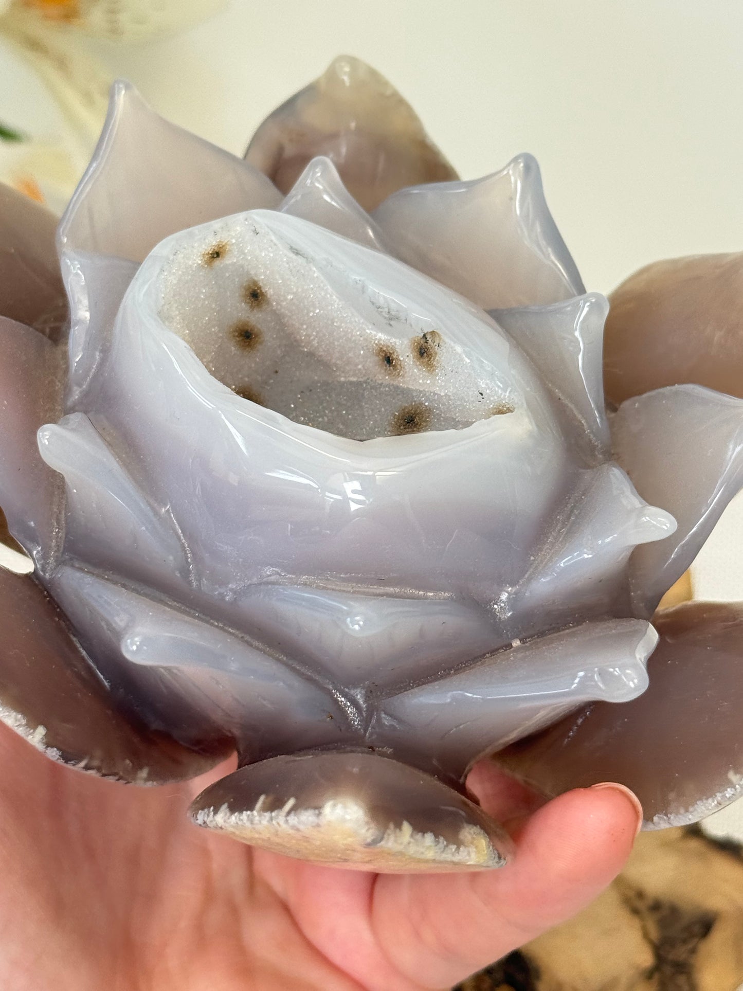 Large Druzy Agate Lotus