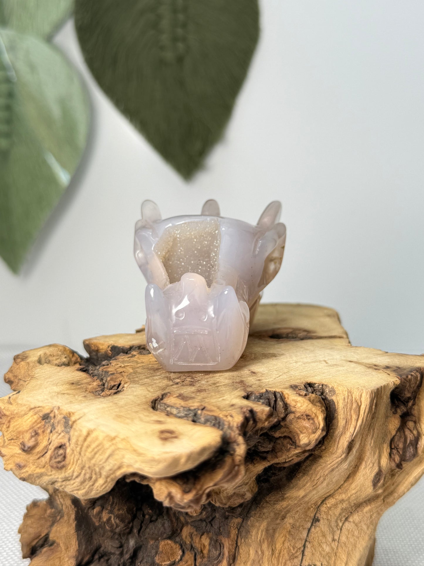 Druzy Agate Dragon Head