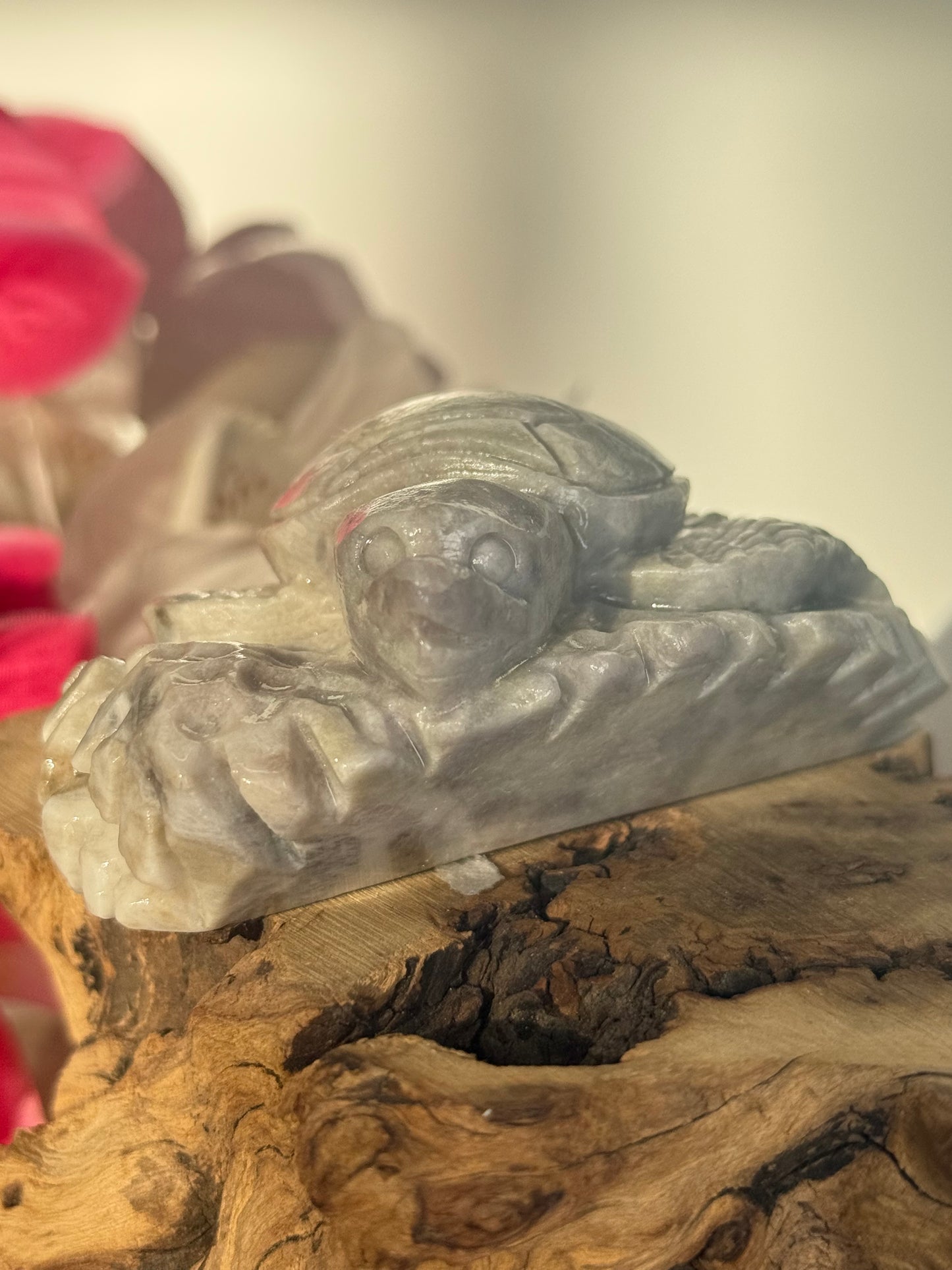 Hackmanite Turtle