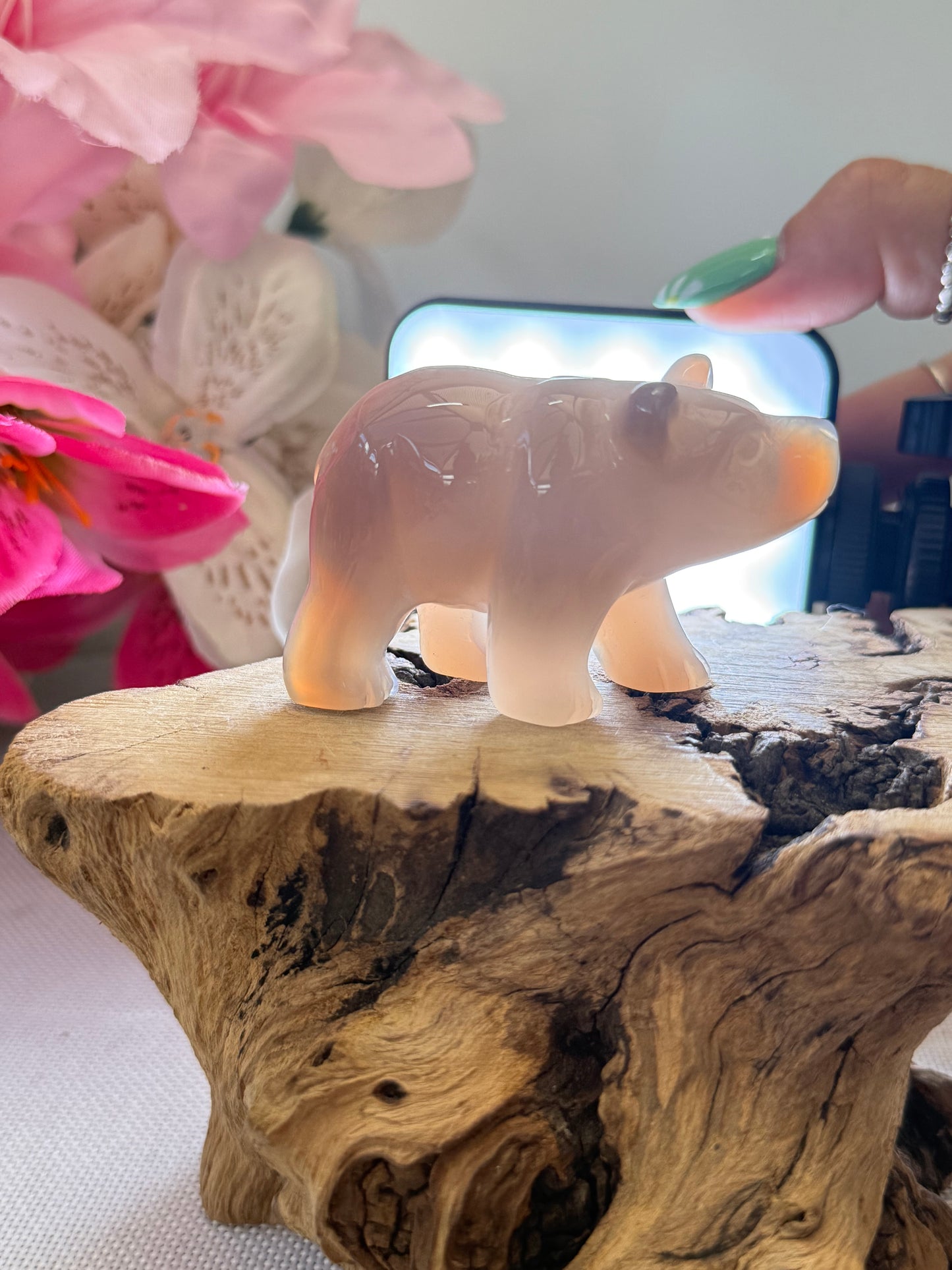 Agate Bear