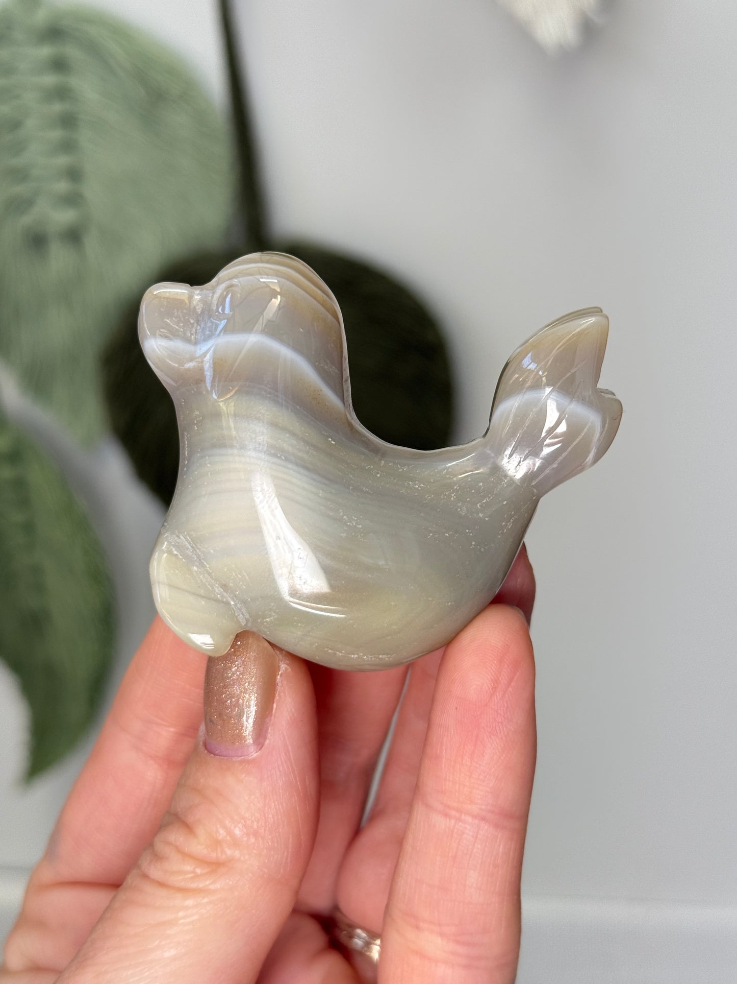 Agate Seal