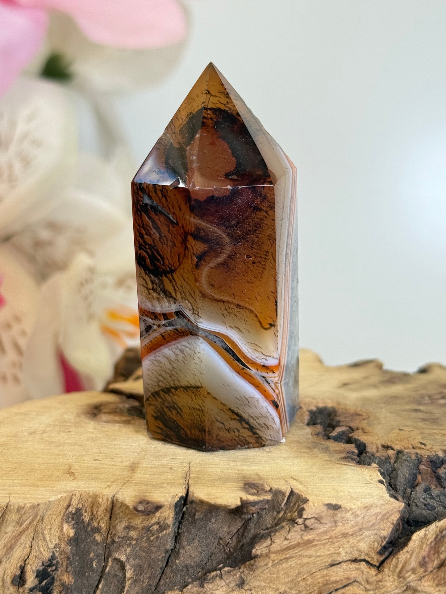 Sardonyx Point (Dyed)