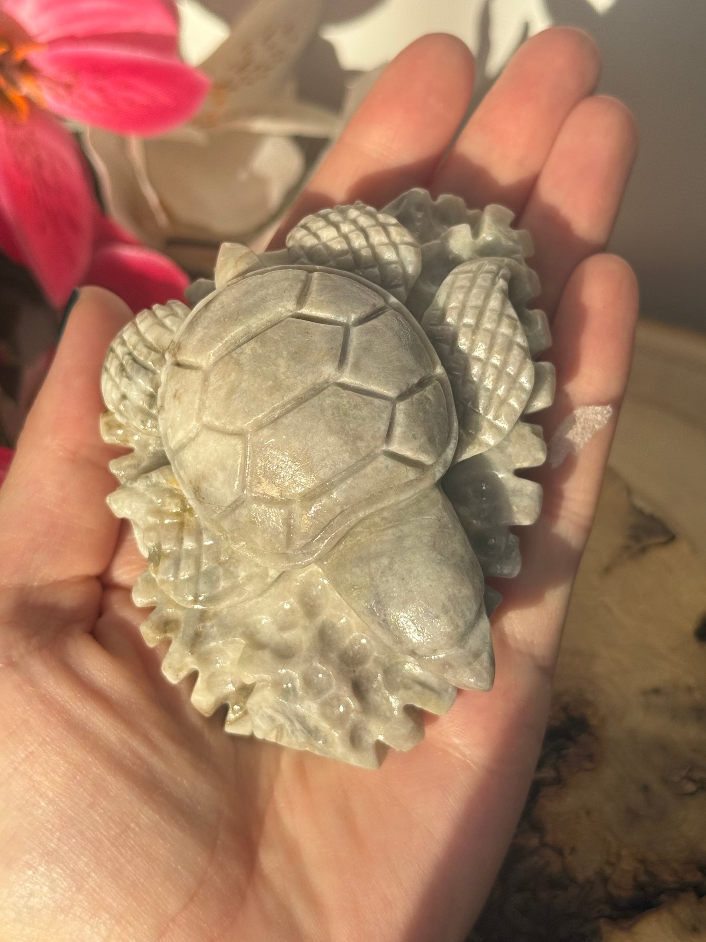 Hackmanite Turtle