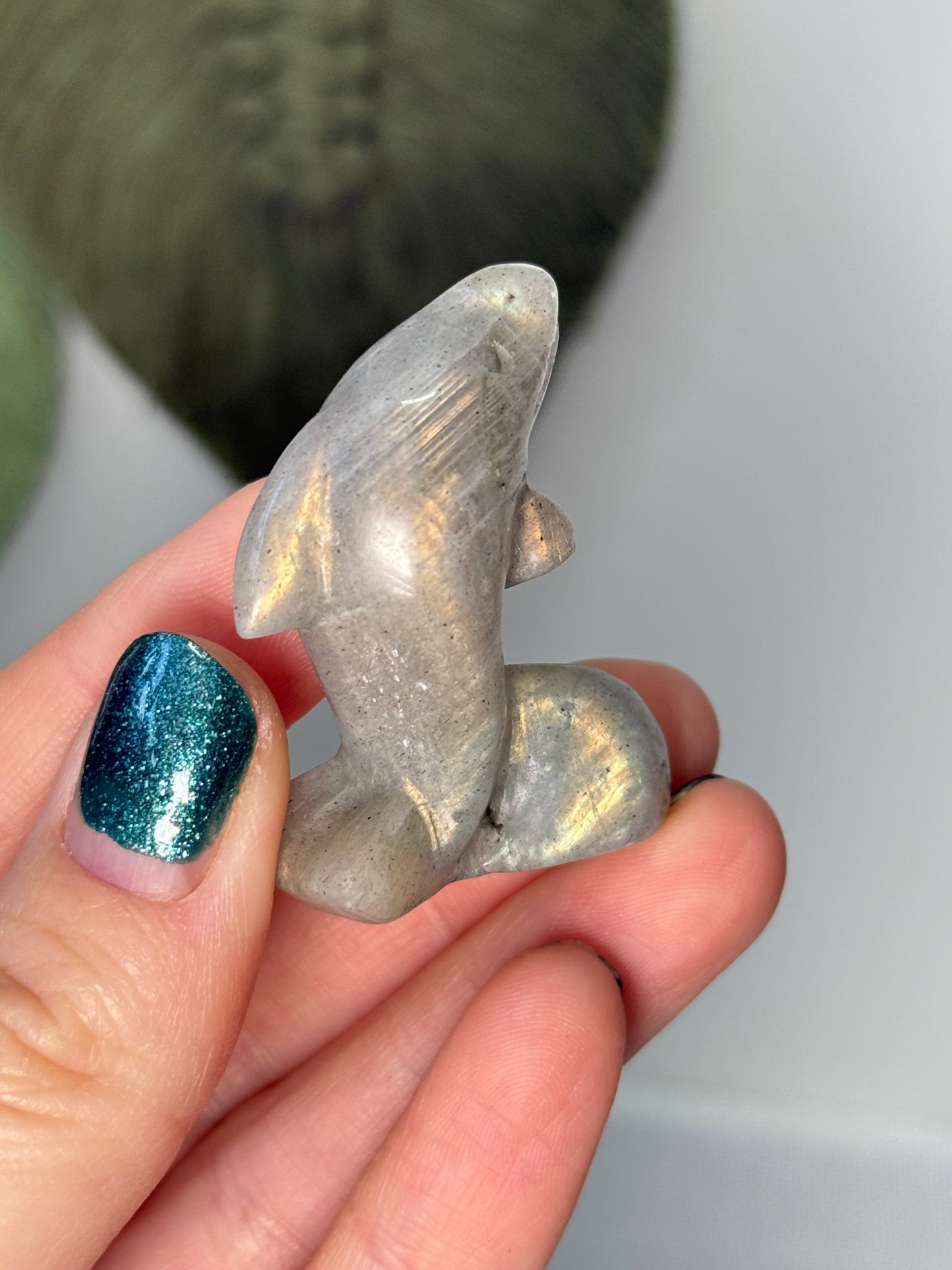Dolphin Carvings