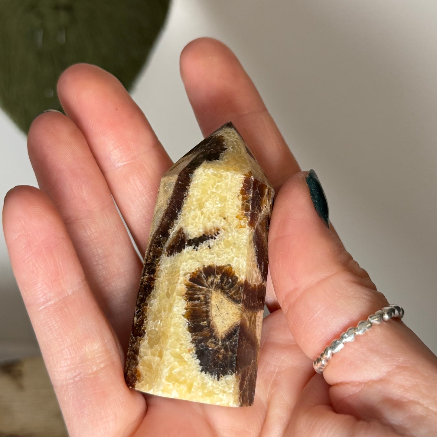 Septarian Point