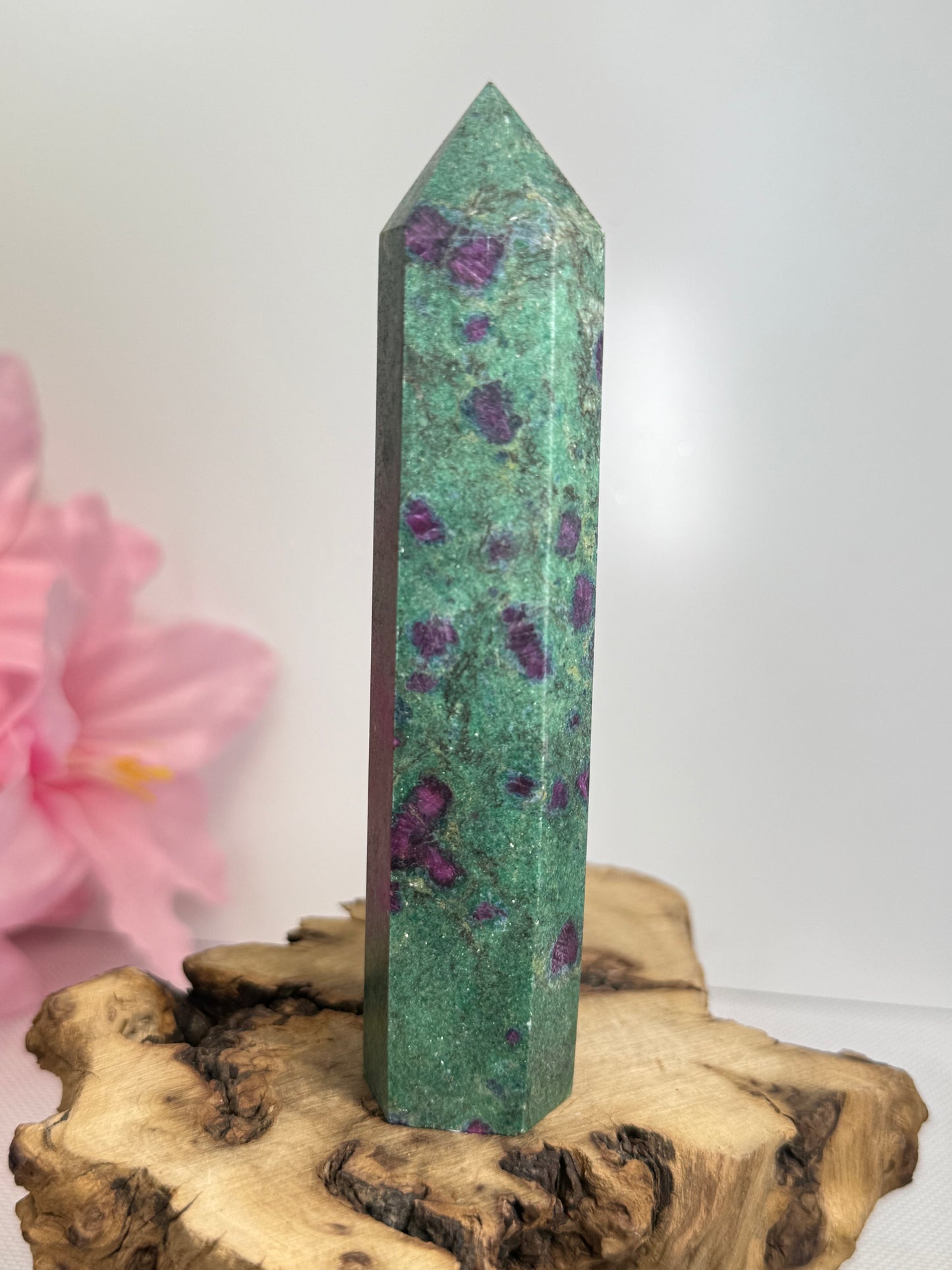 Ruby In Fuschite Point