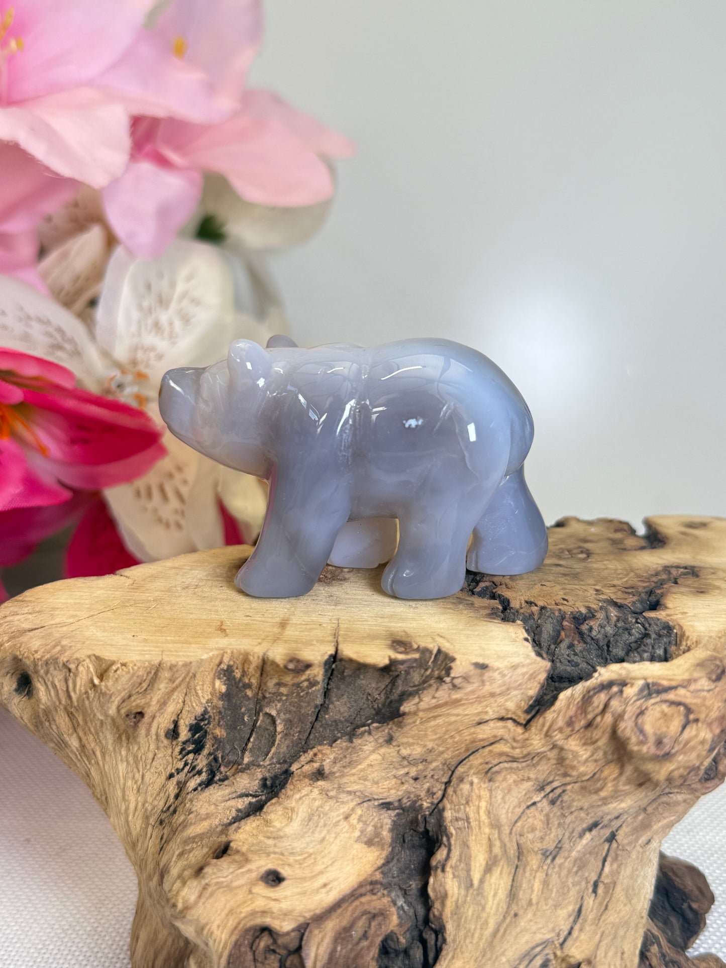 Agate Bear