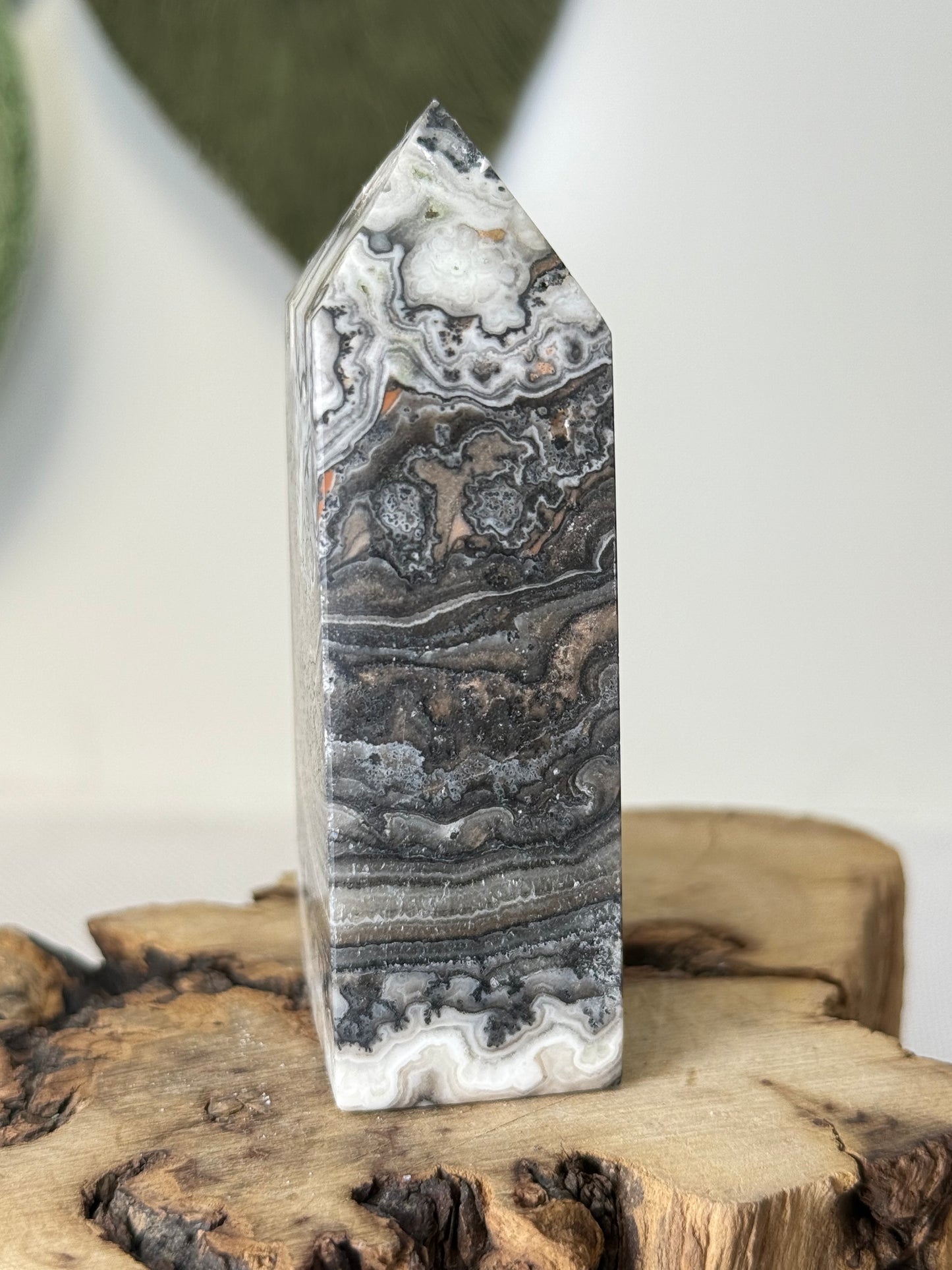 Dendritic Calcite Tower