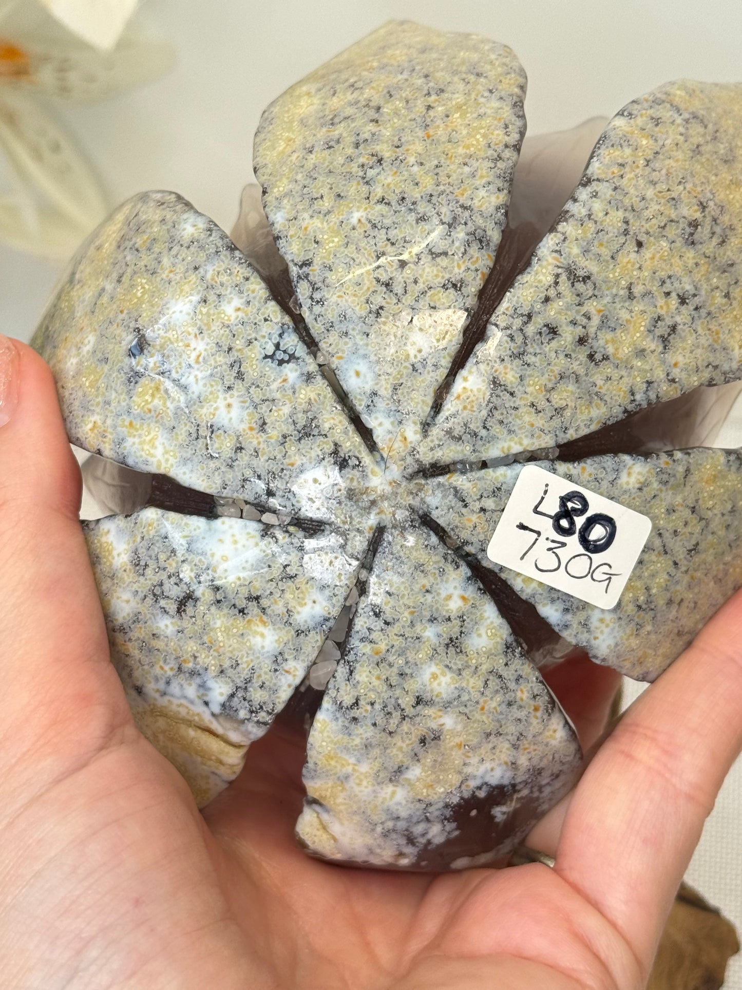 Large Druzy Agate Lotus