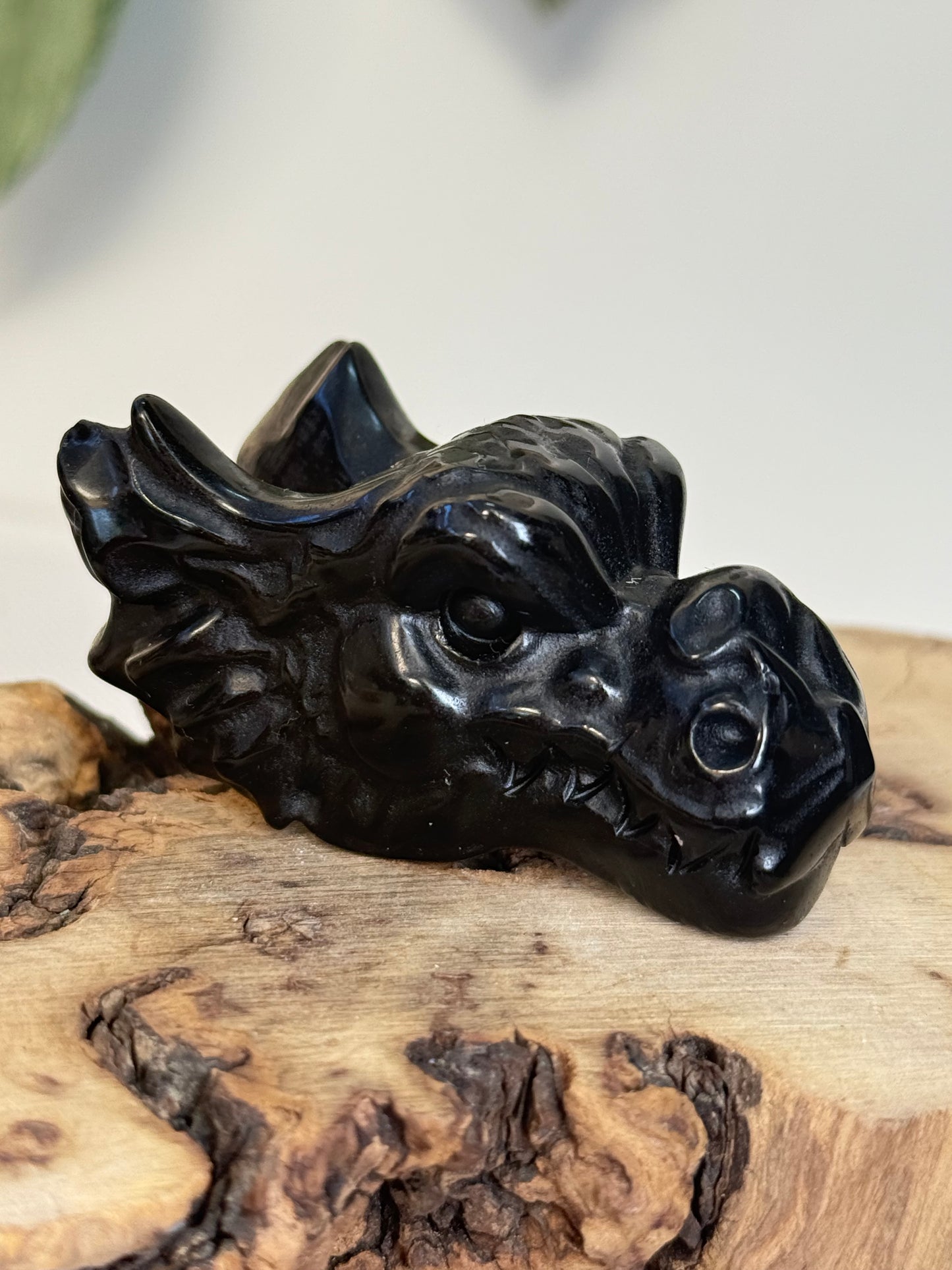 Black Obsidian Dragon