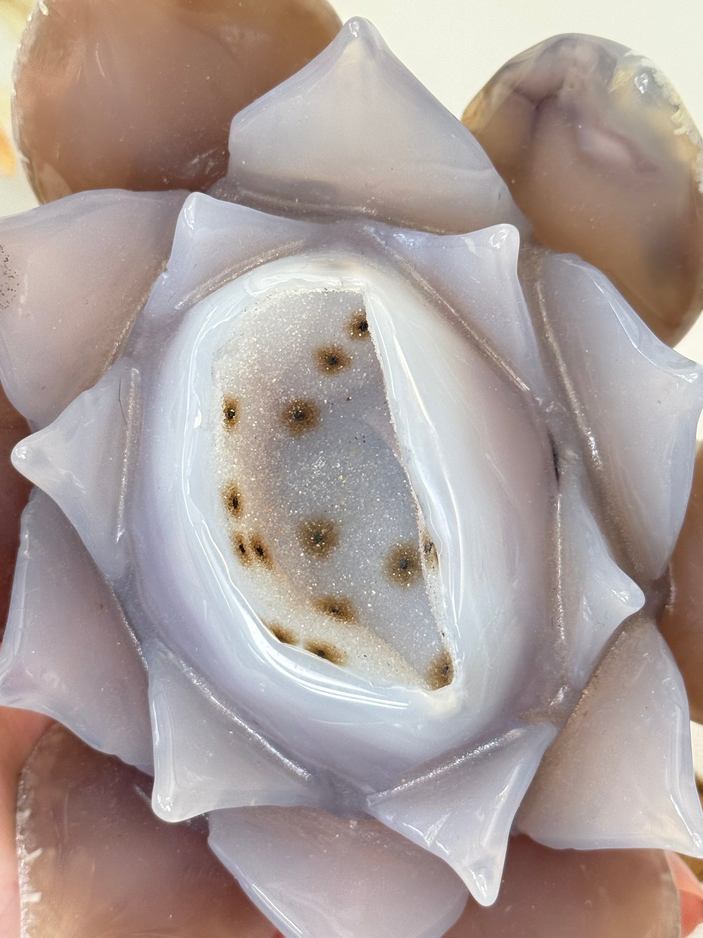 Large Druzy Agate Lotus