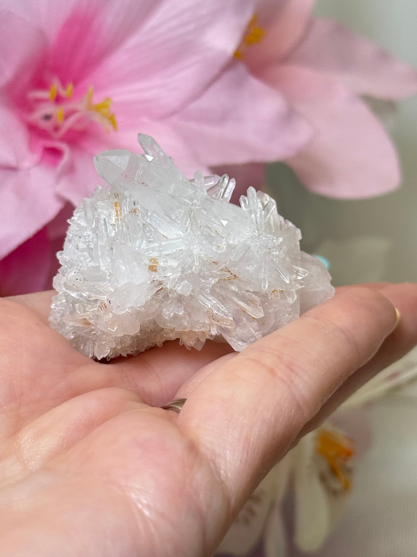 Chrysanthemum Quartz Raw