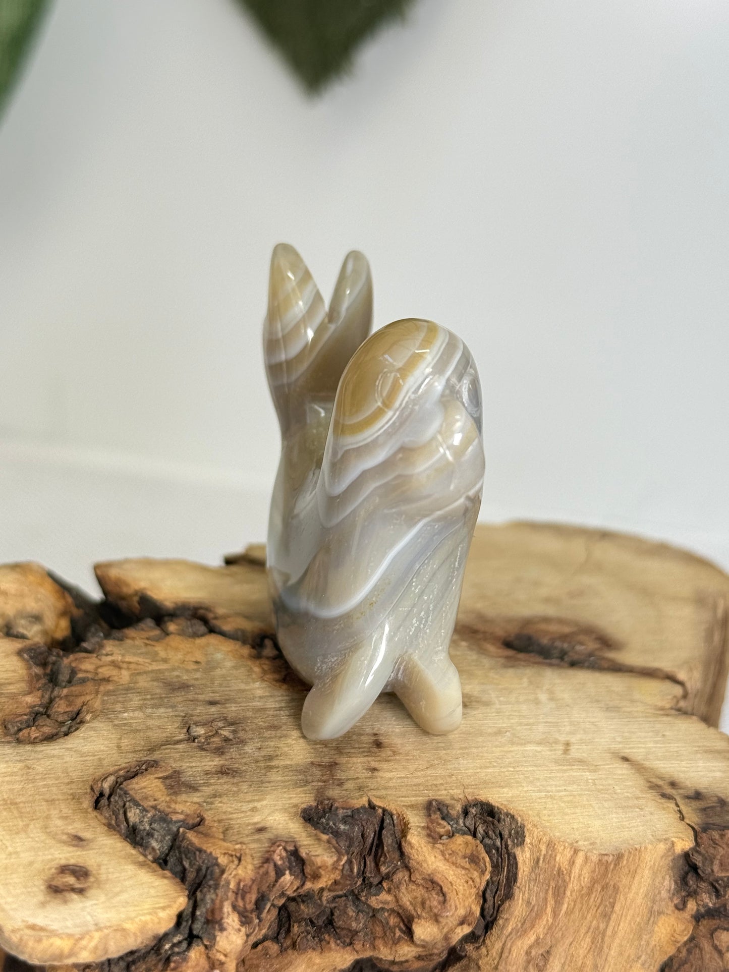 Agate Seal