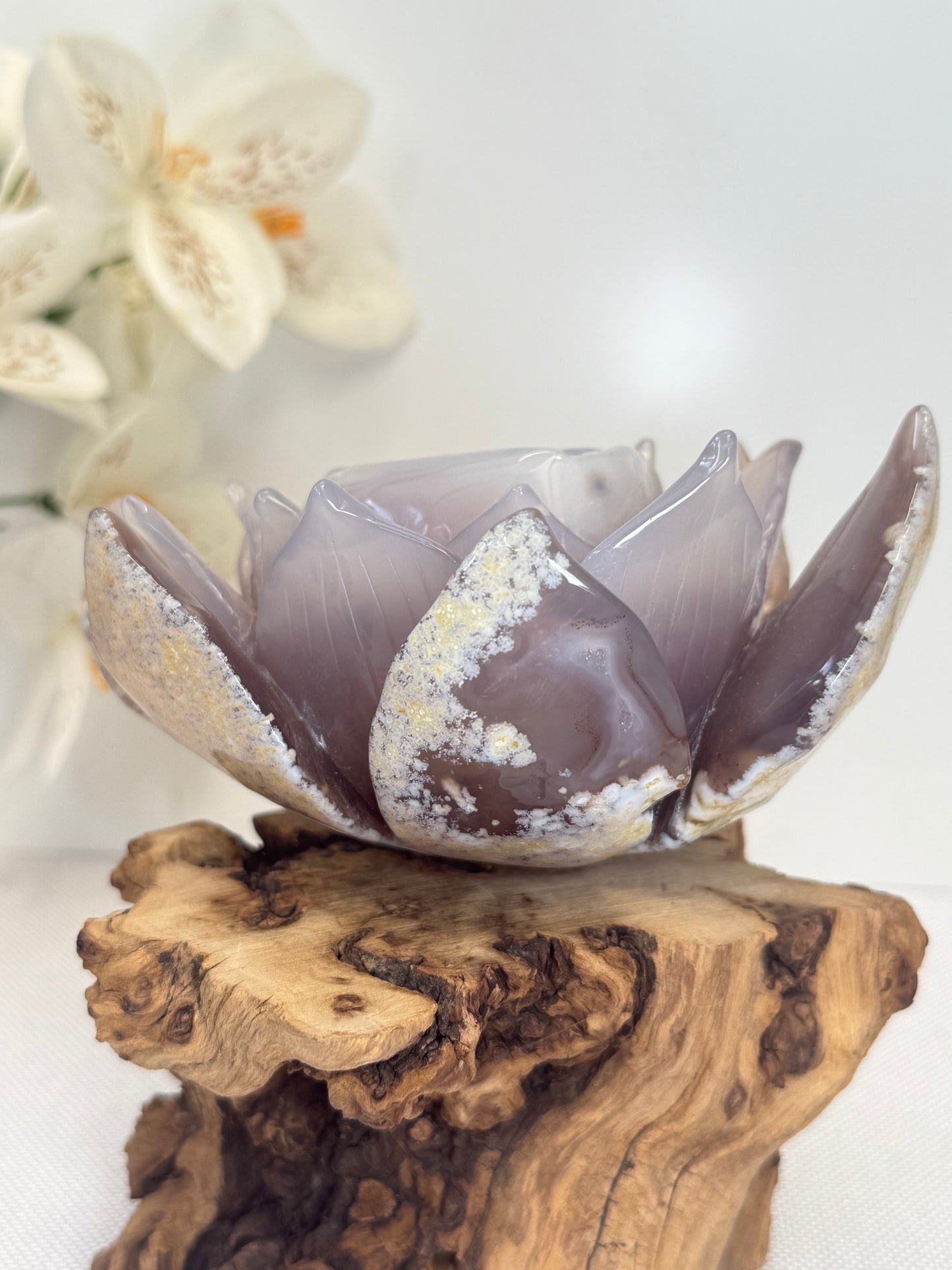 Large Druzy Agate Lotus