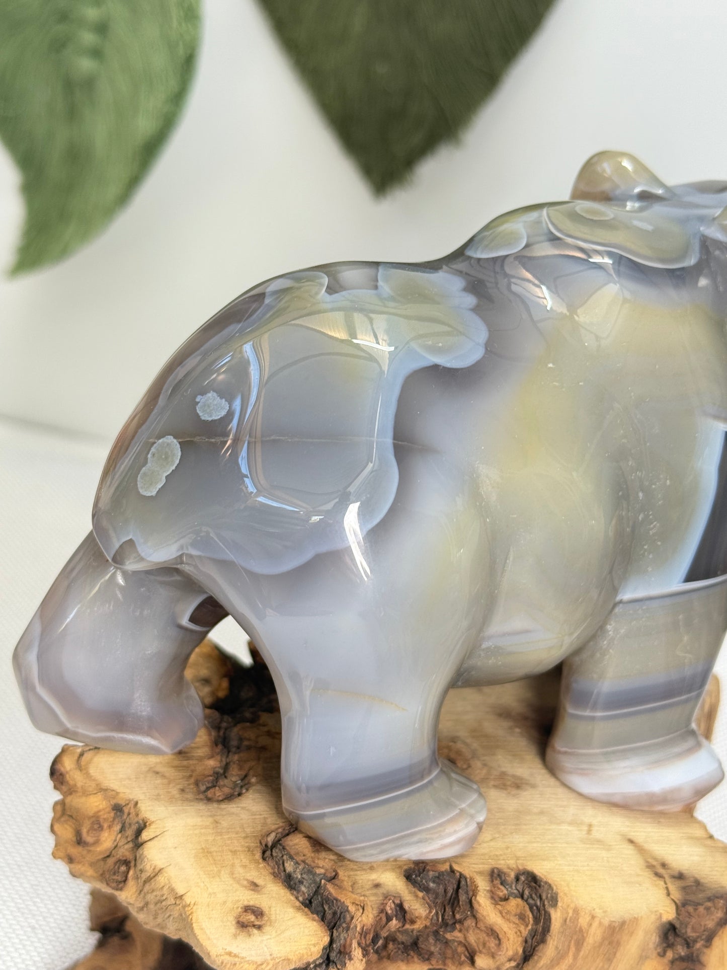 XL Druzy Agate Bear
