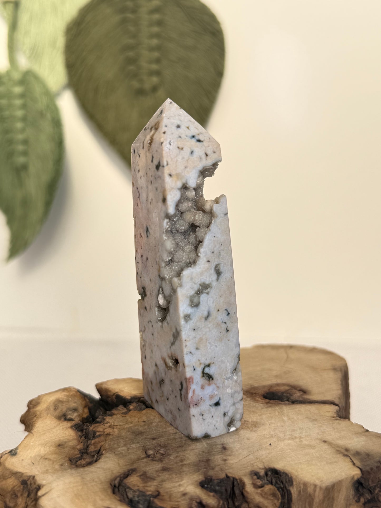 Ocean Jasper Tower