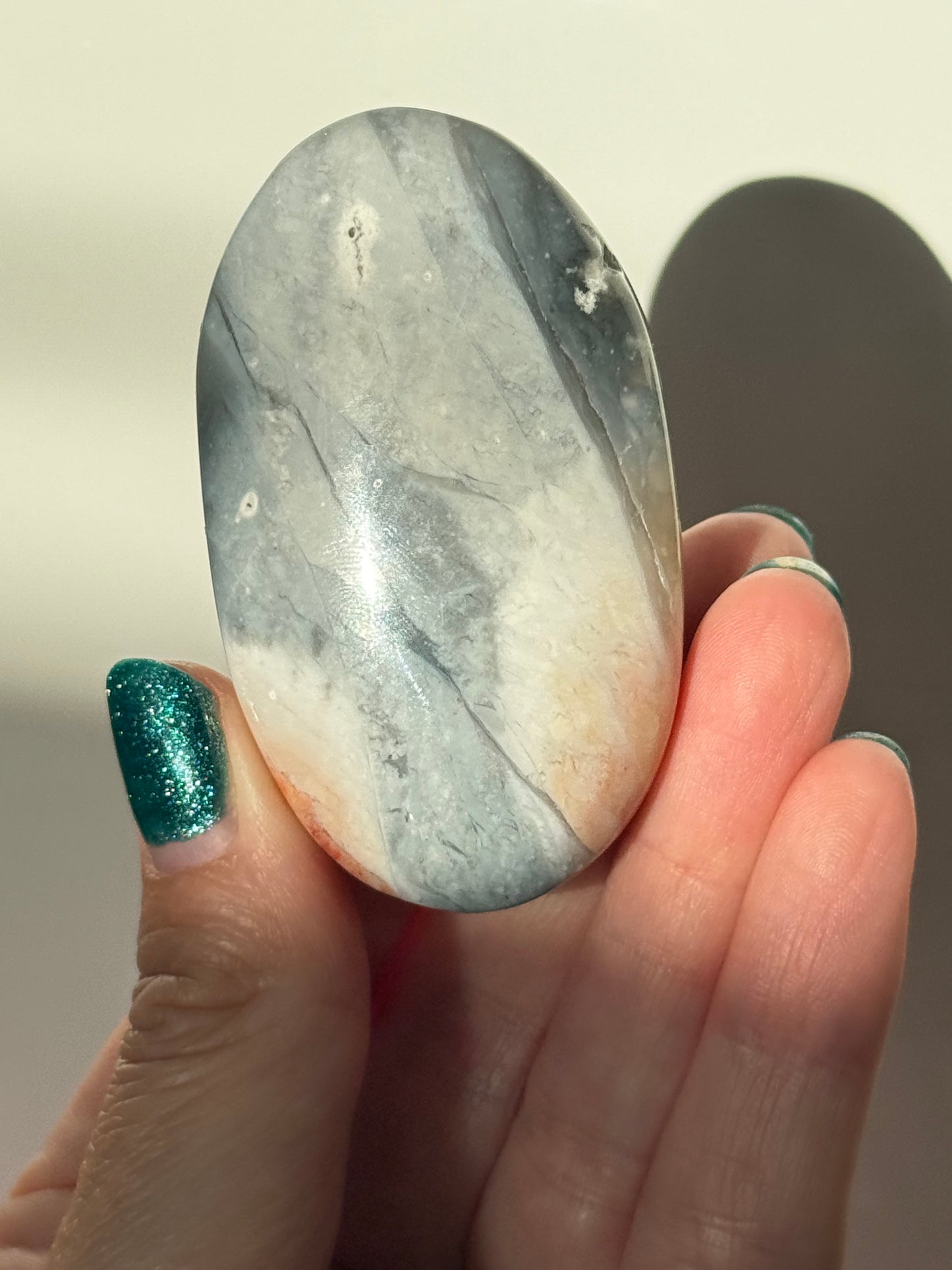Petrified Wood Palm Stone