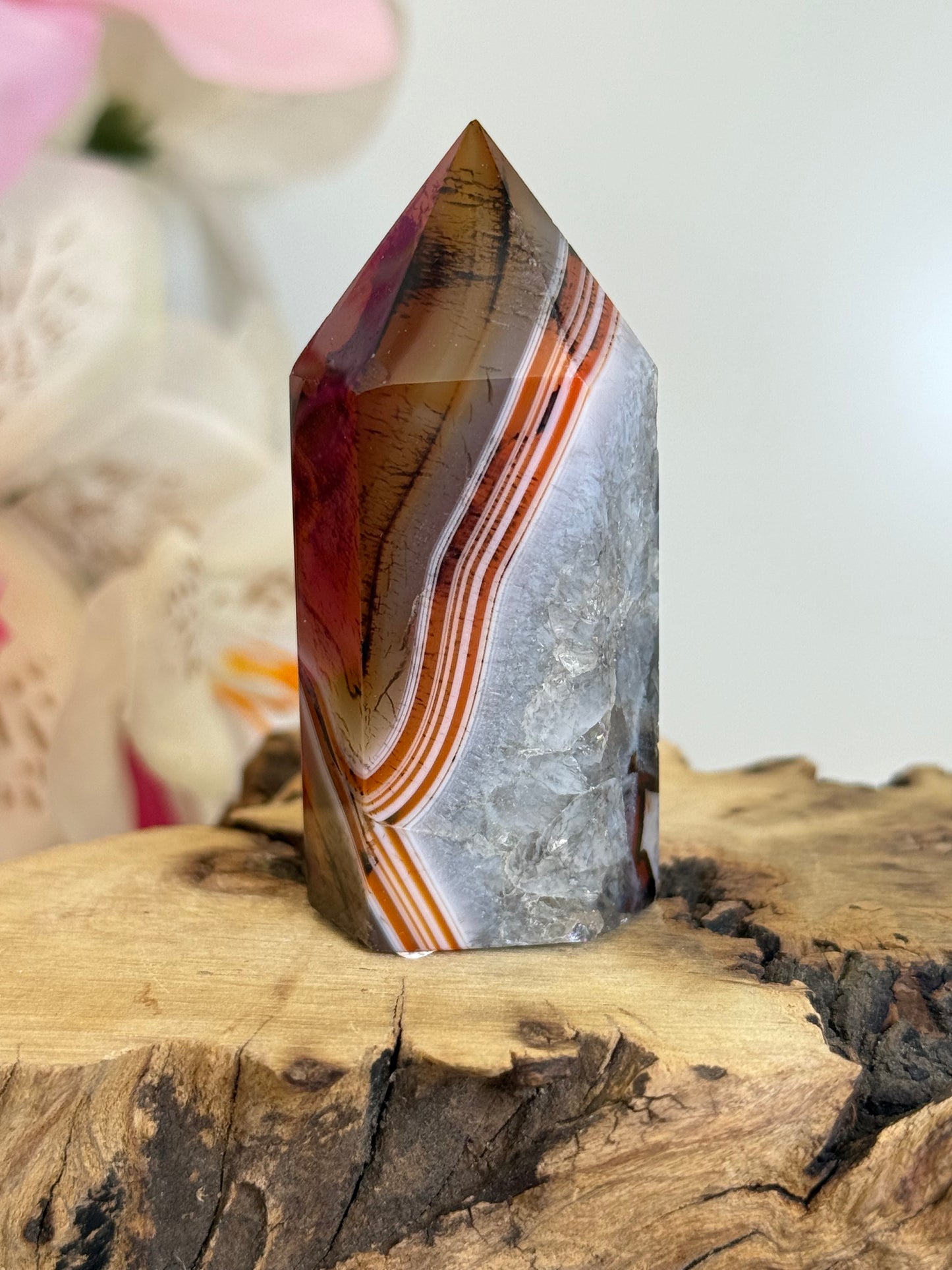 Sardonyx Point (Dyed)