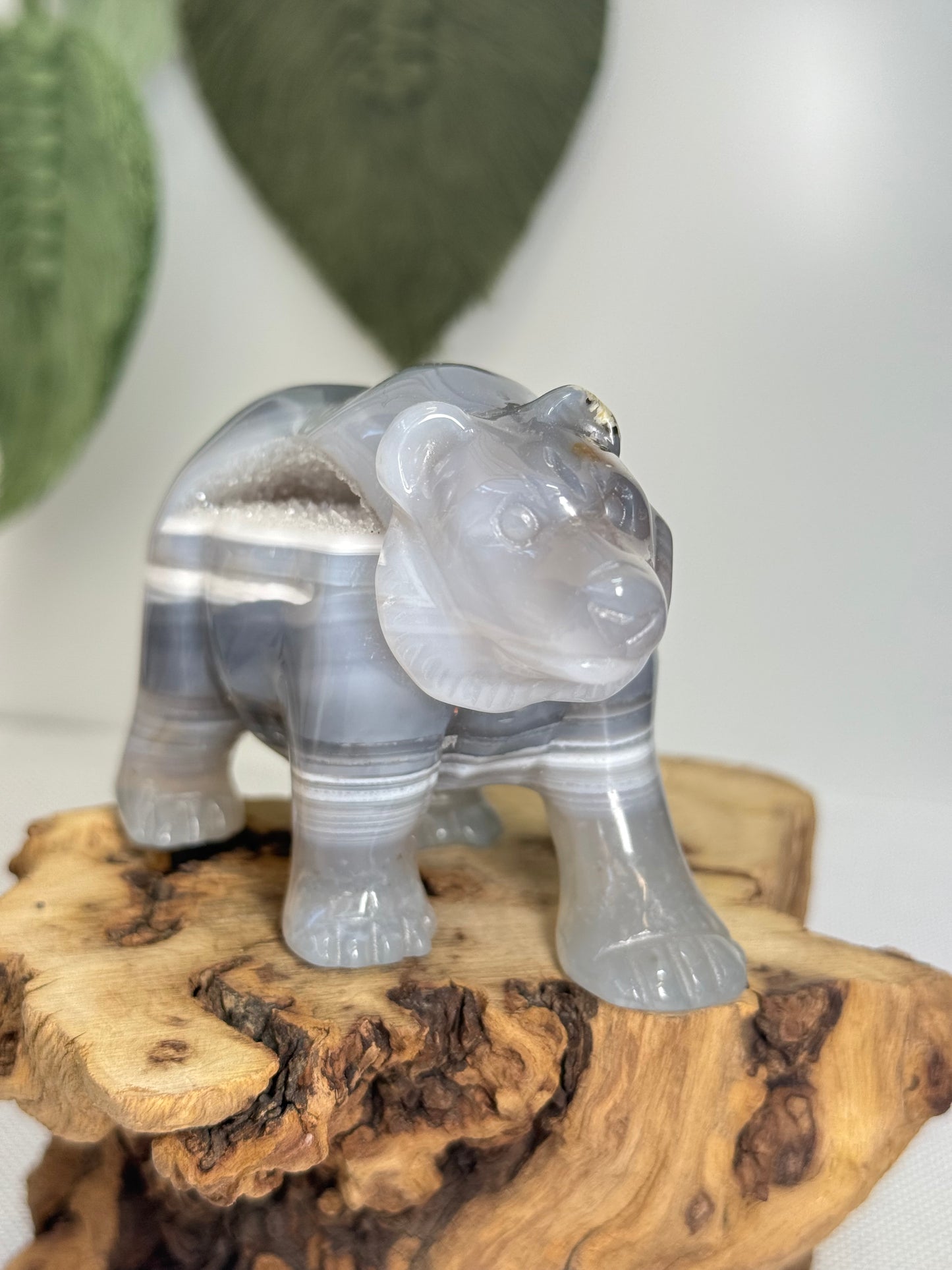 Druzy Agate Bear
