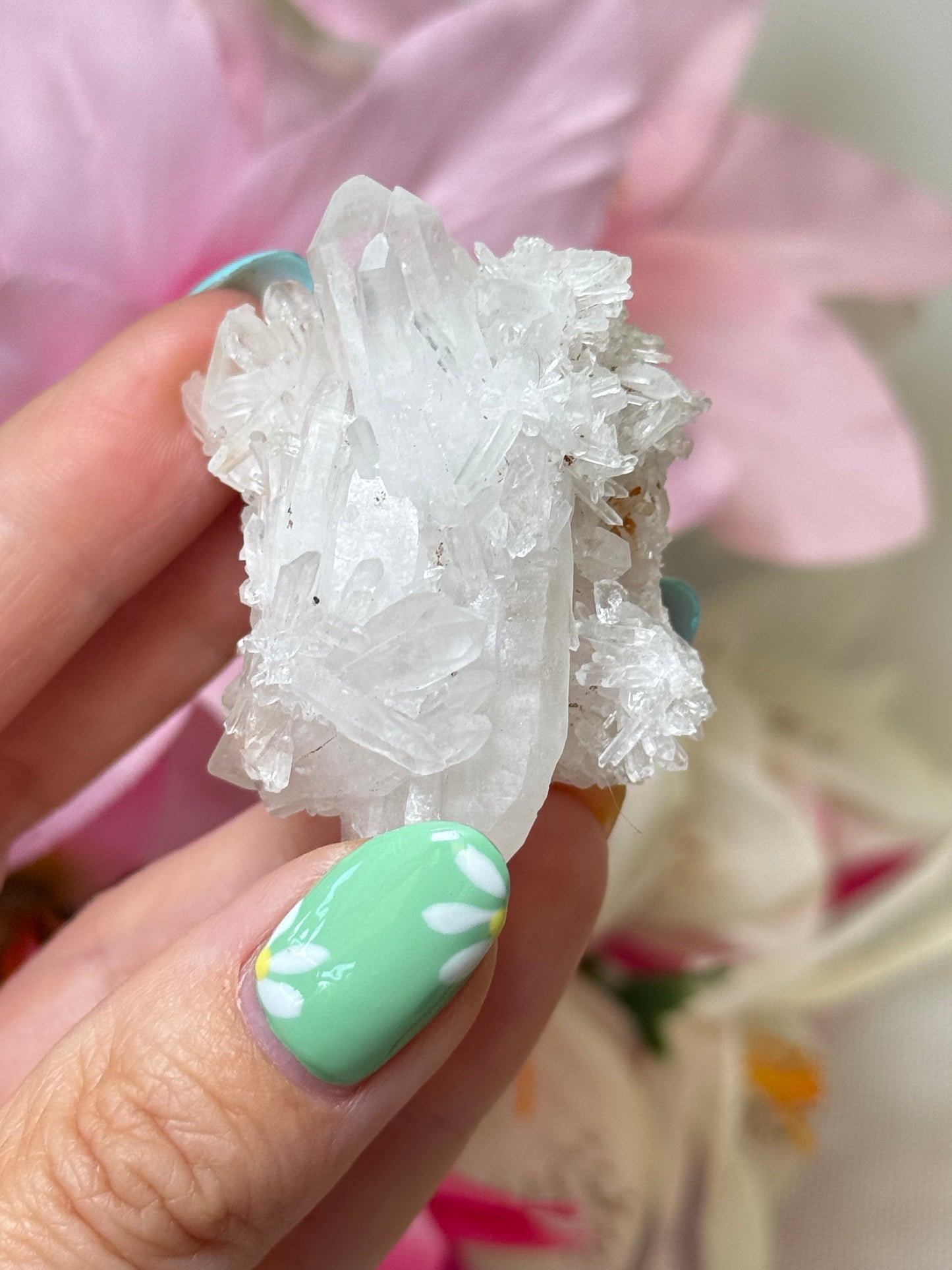 Chrysanthemum Quartz Raw