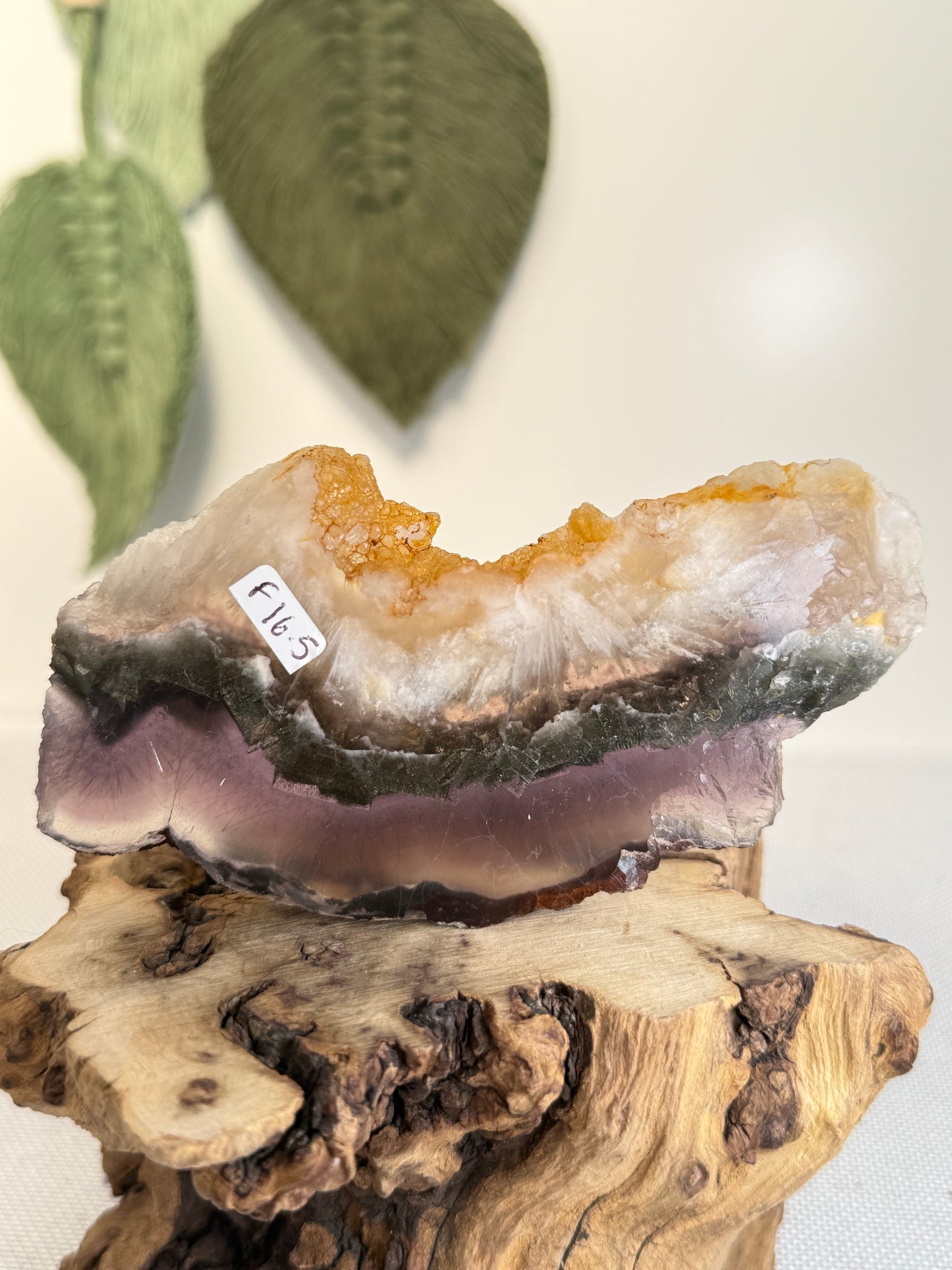 Fluorite With Pyrite Slab (Self Stands)