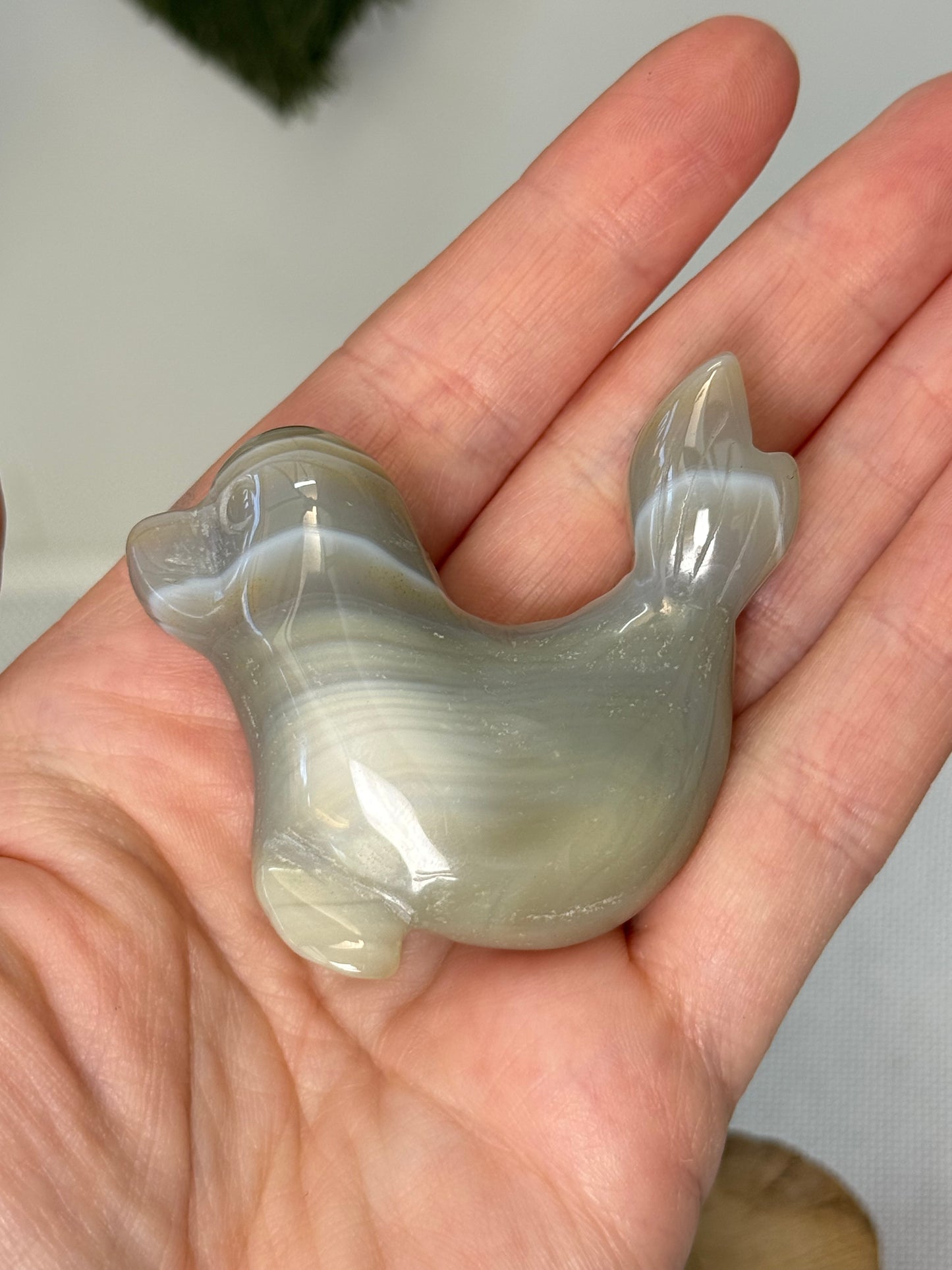 Agate Seal