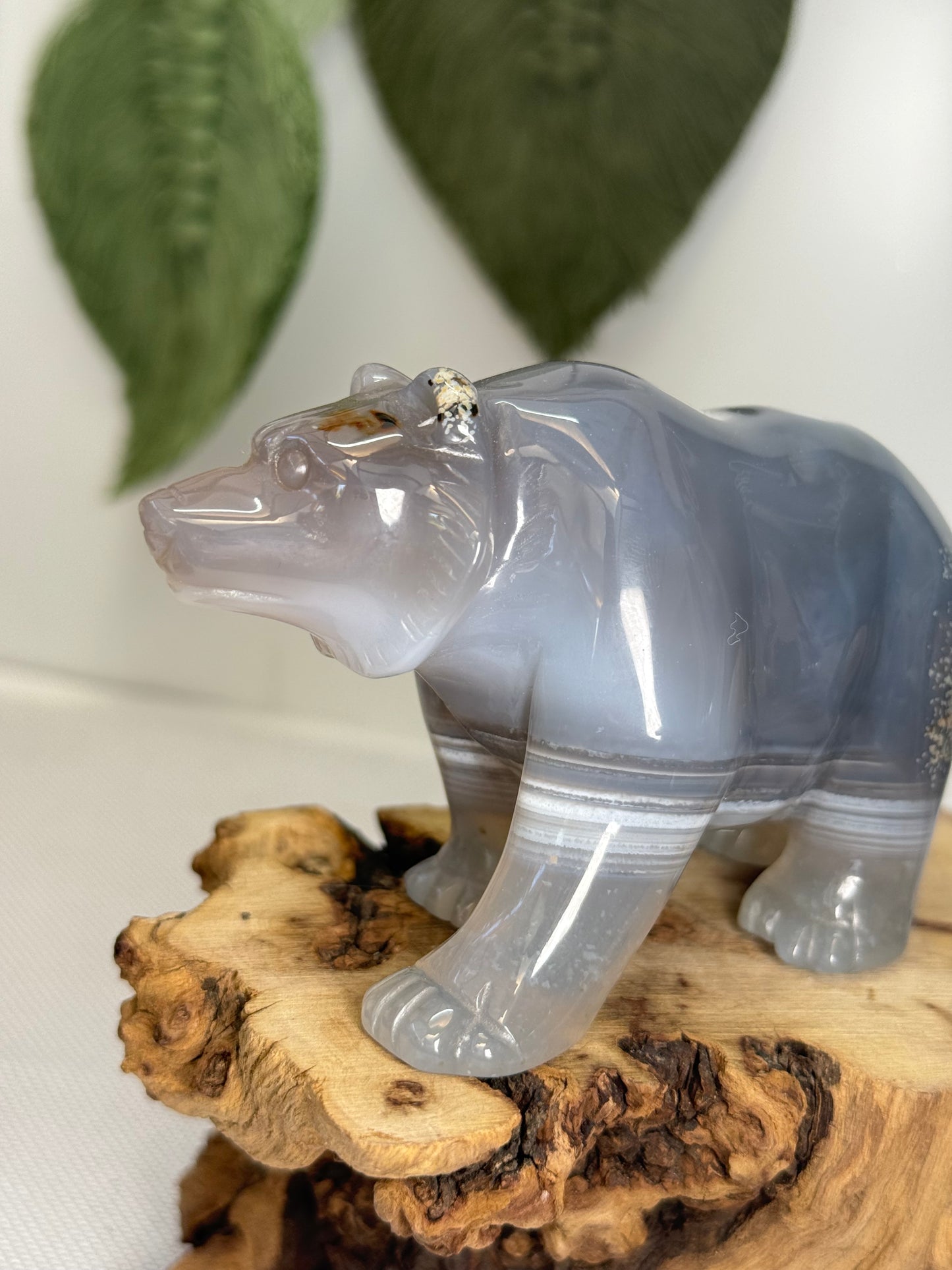 Druzy Agate Bear