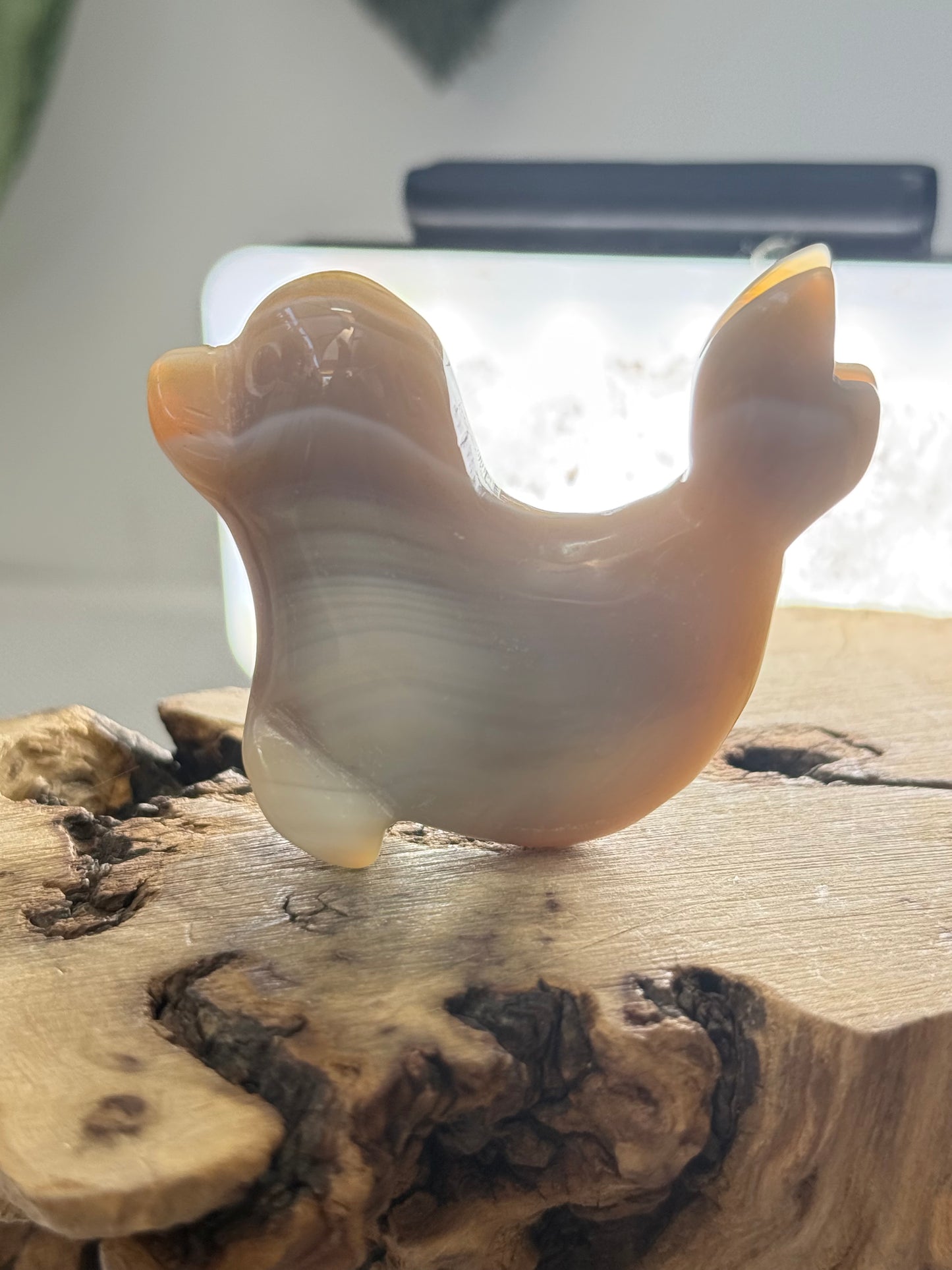Agate Seal