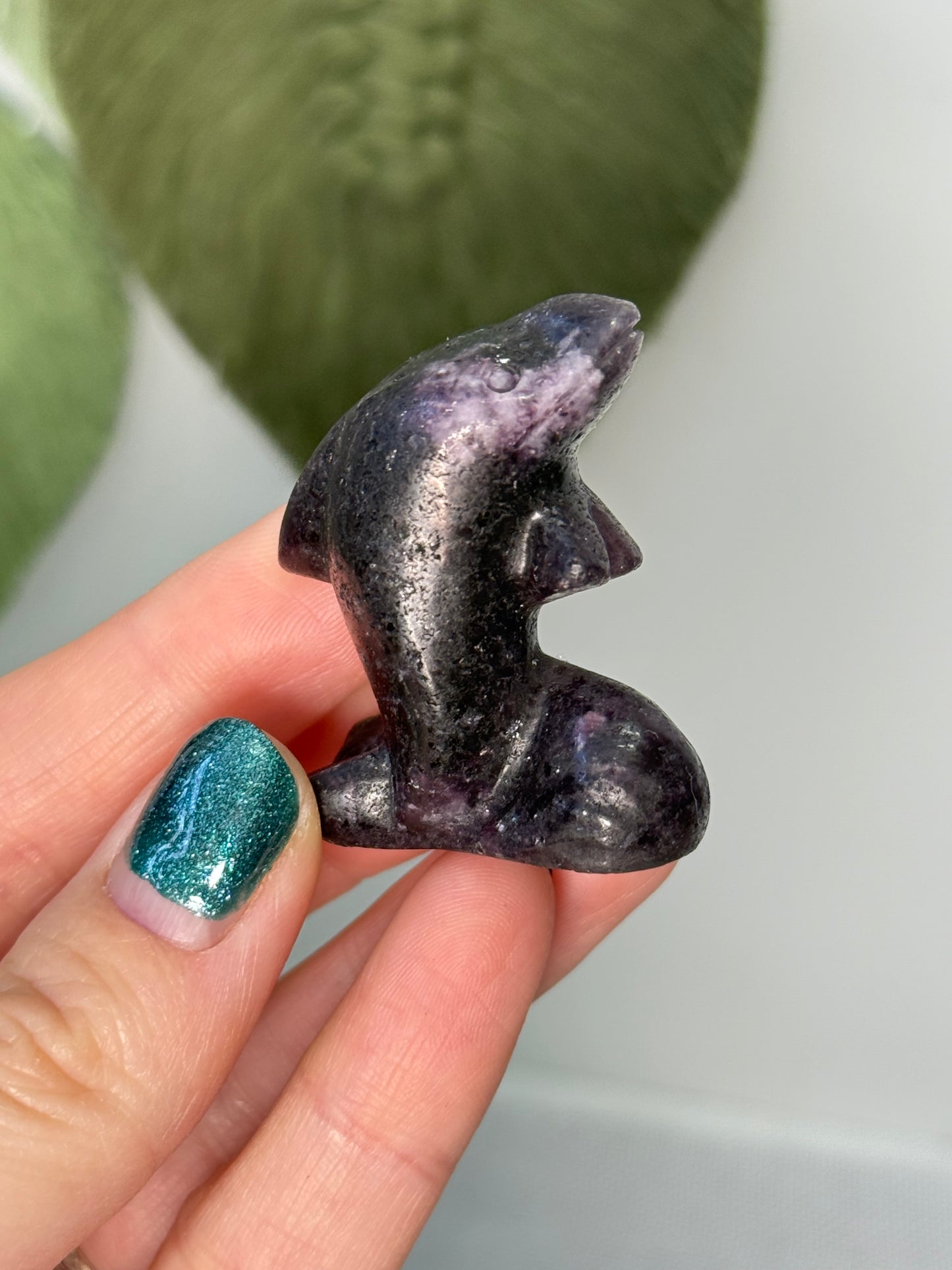 Dolphin Carvings