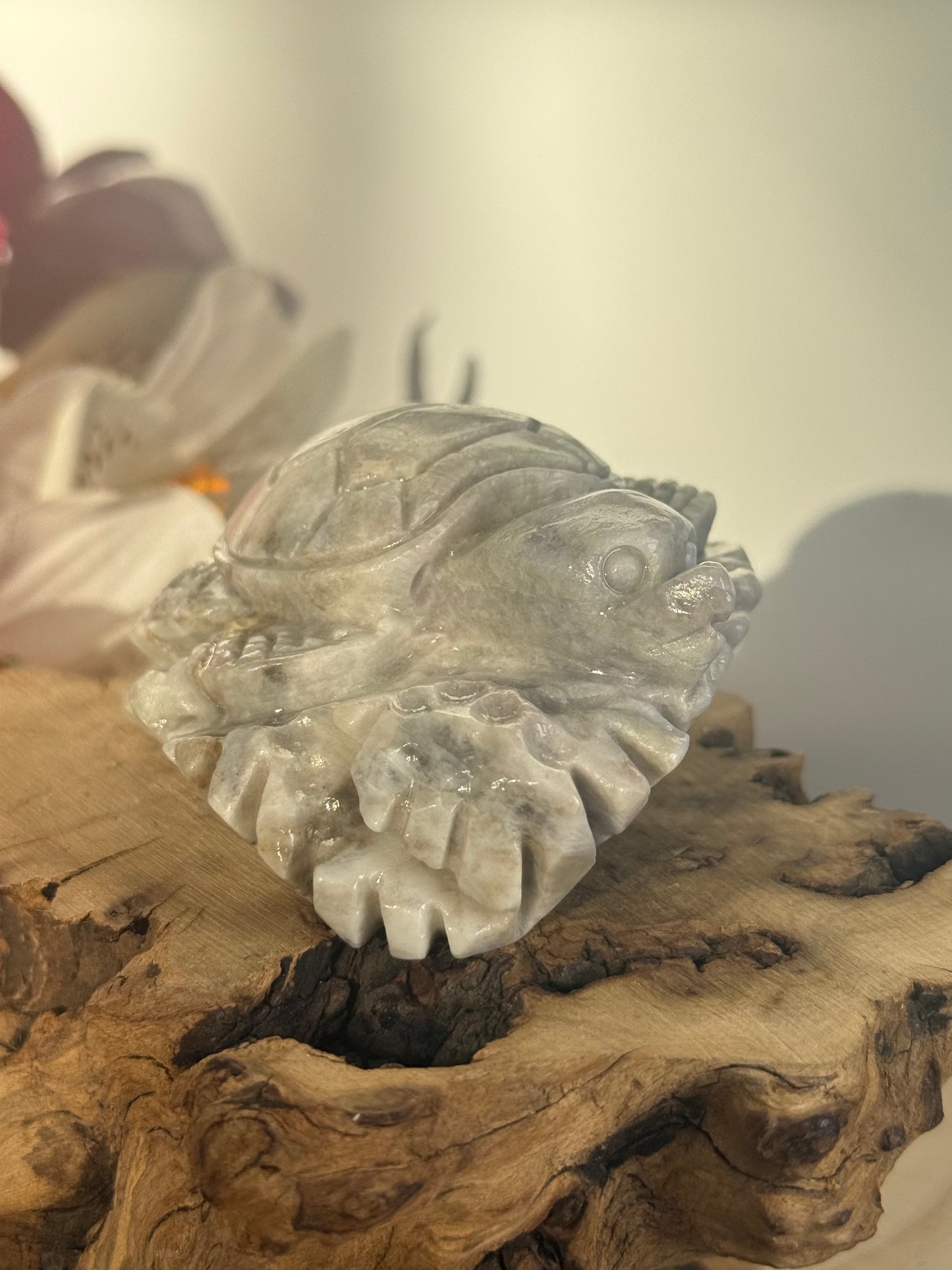 Hackmanite Turtle