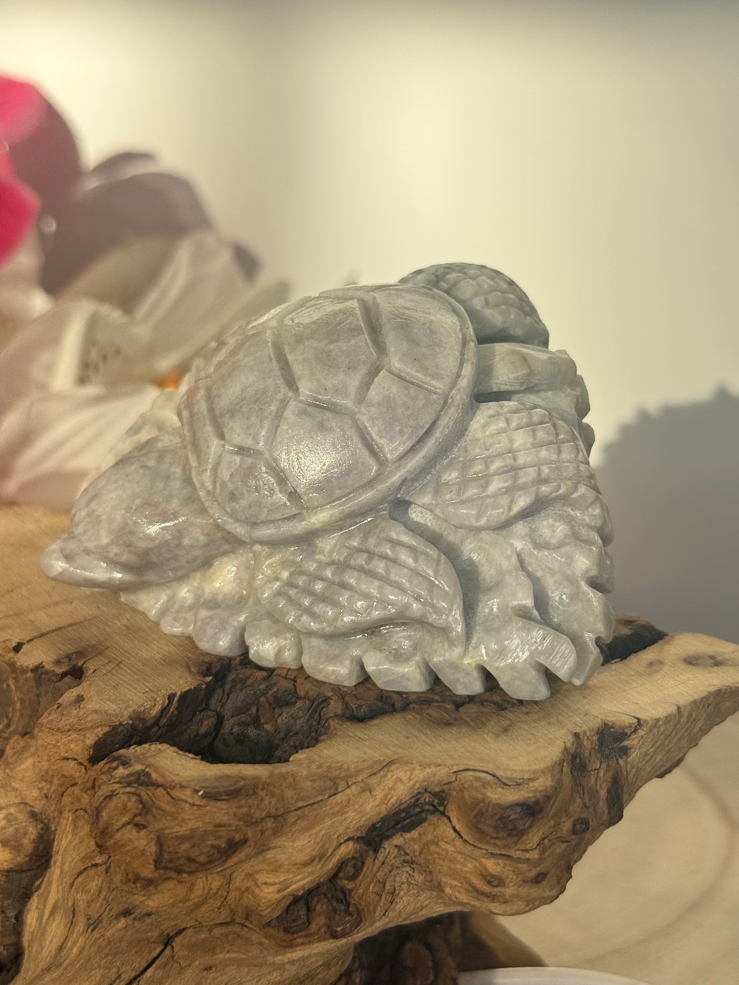 Hackmanite Turtle