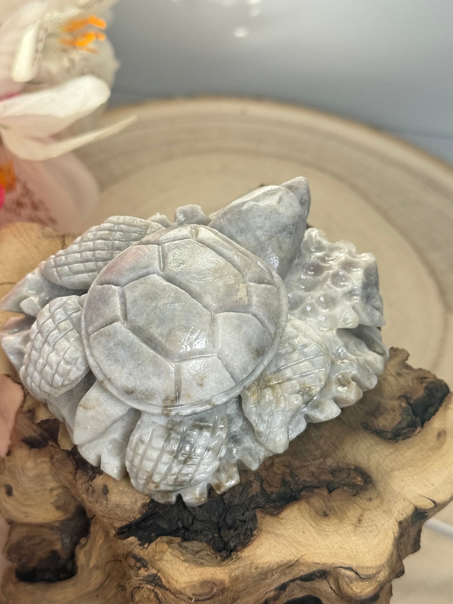 Hackmanite Turtle