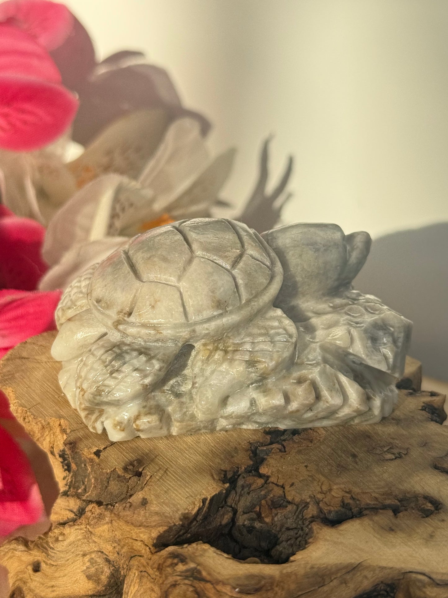 Hackmanite Turtle
