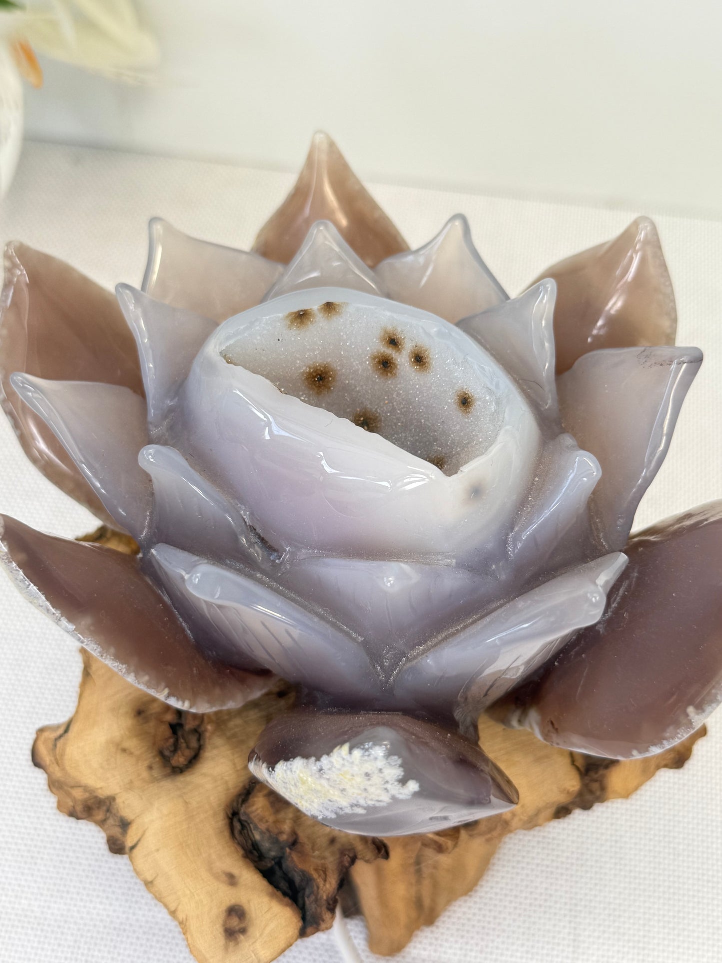 Large Druzy Agate Lotus