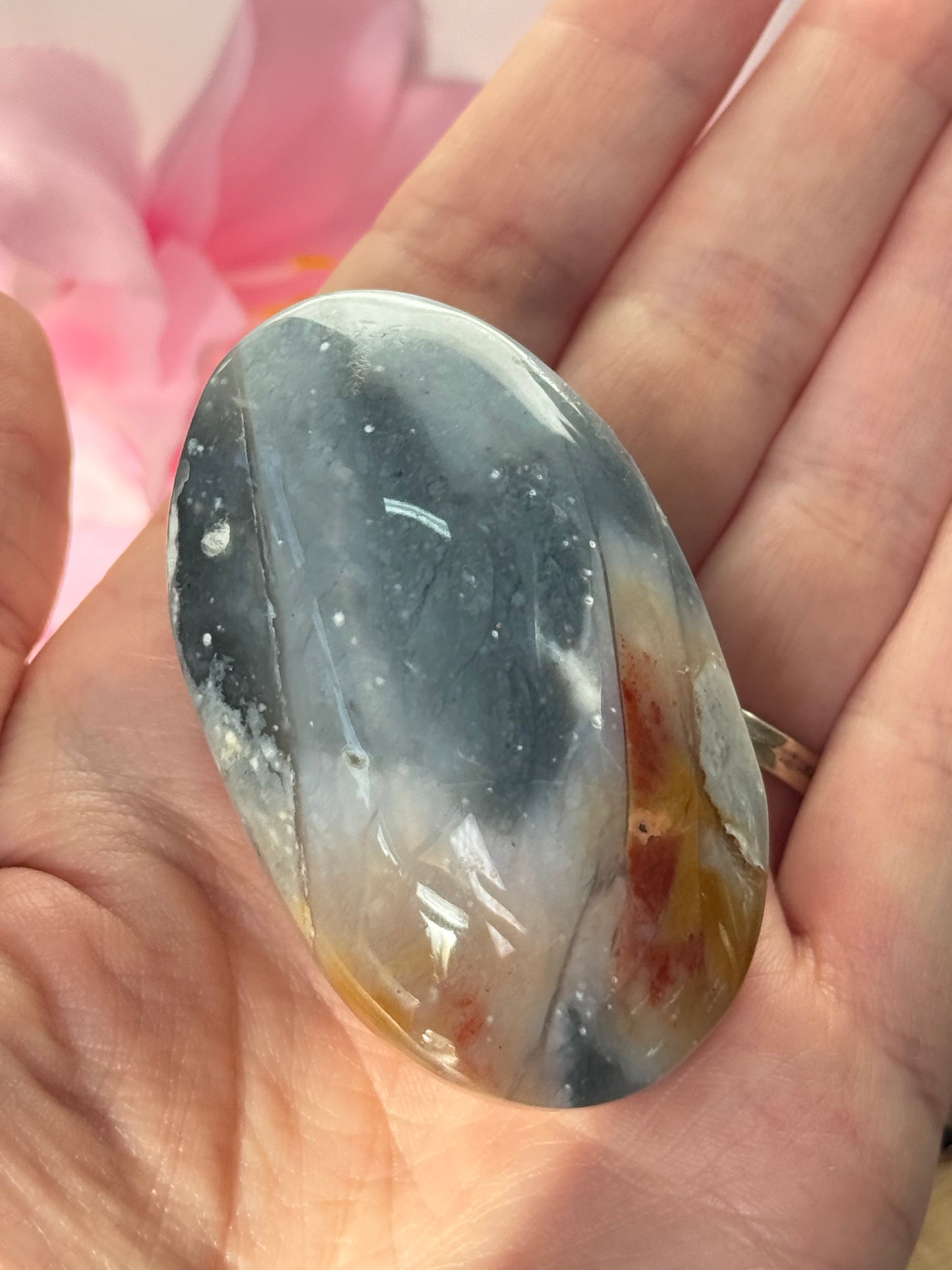Petrified Wood Palm Stone