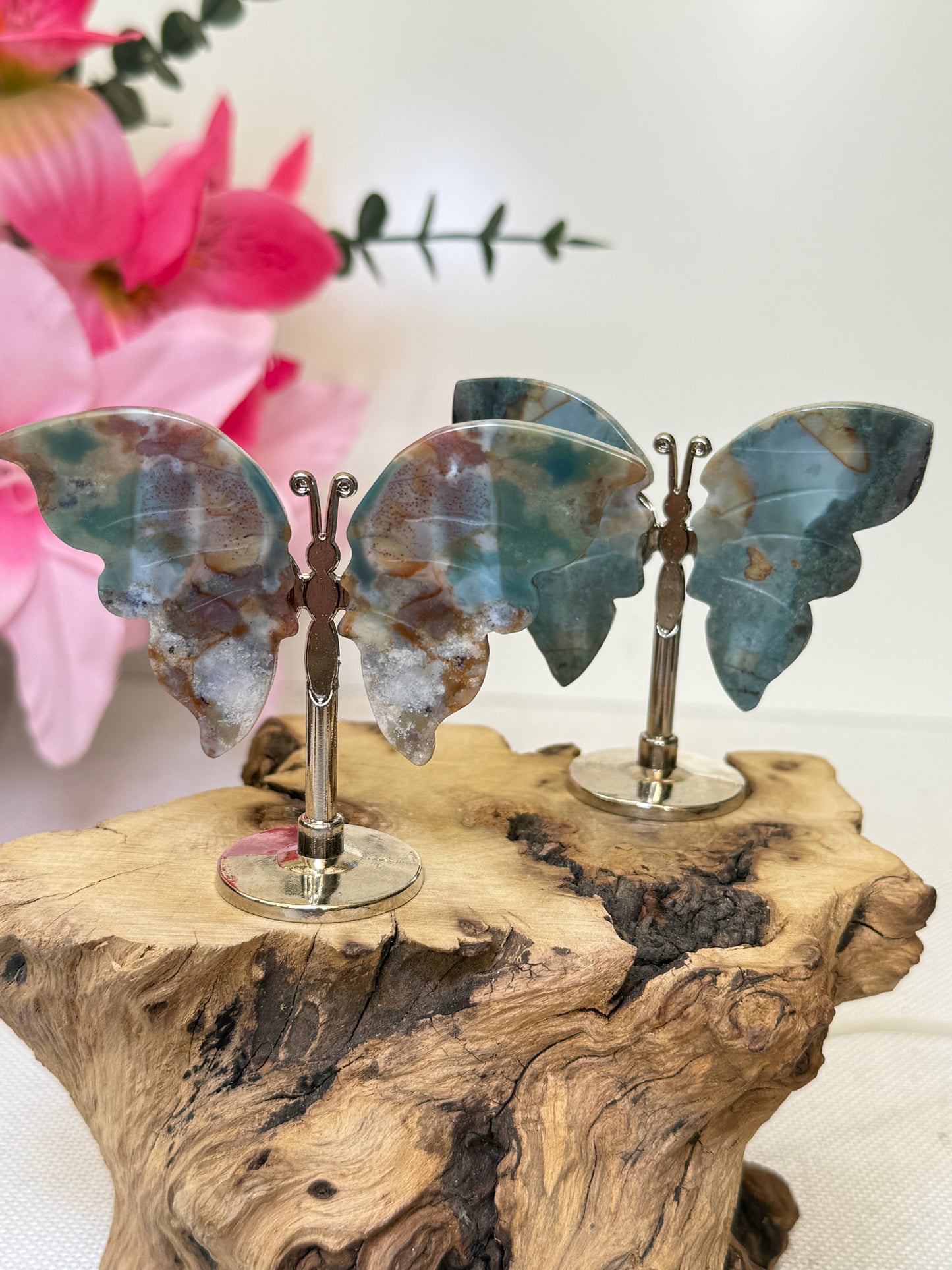 Ocean Jasper Butterflies