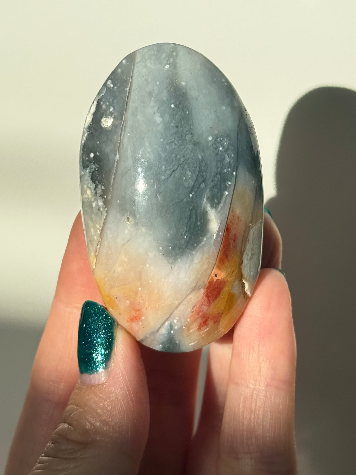 Petrified Wood Palm Stone