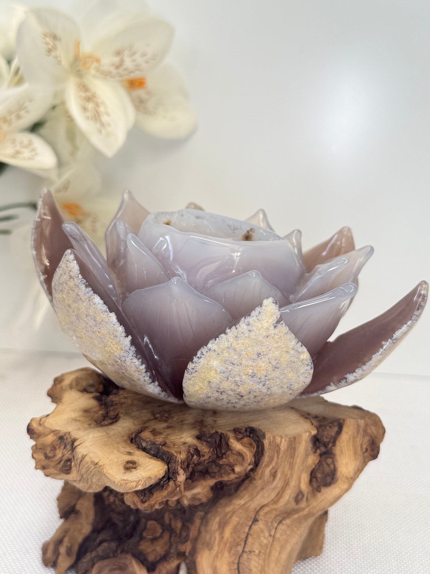 Large Druzy Agate Lotus