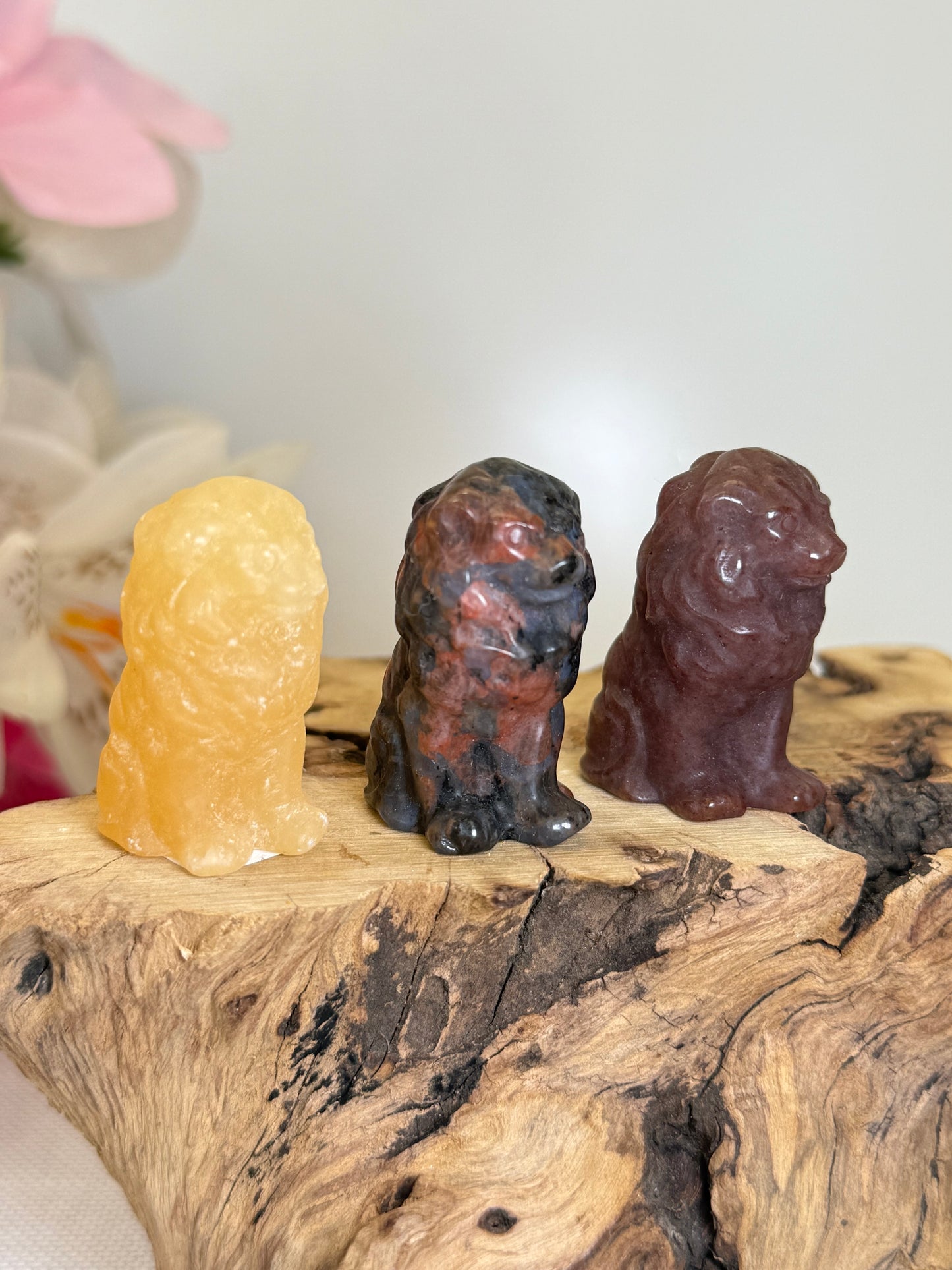 Lion Carvings