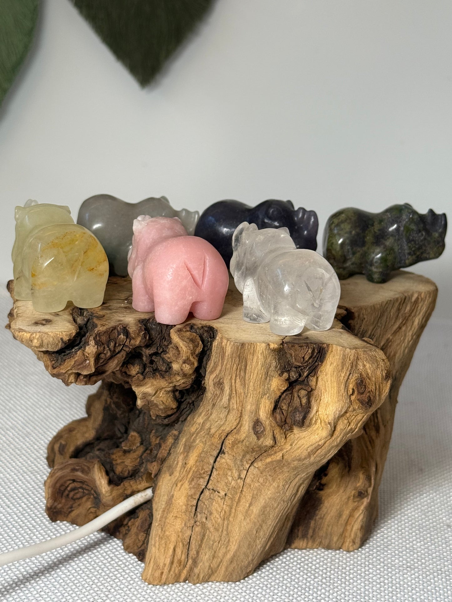 Rhinoceros Carvings