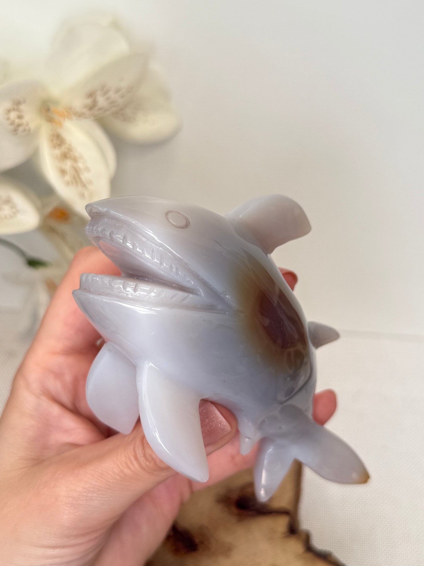 Druzy Agate Shark