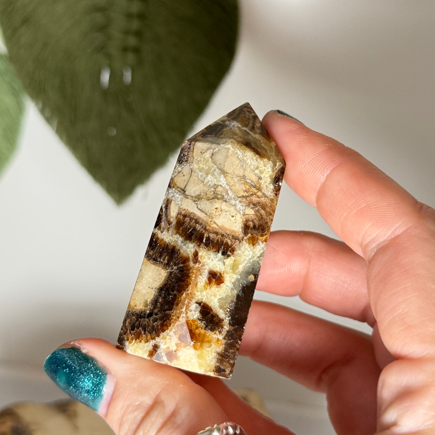 Septarian Point