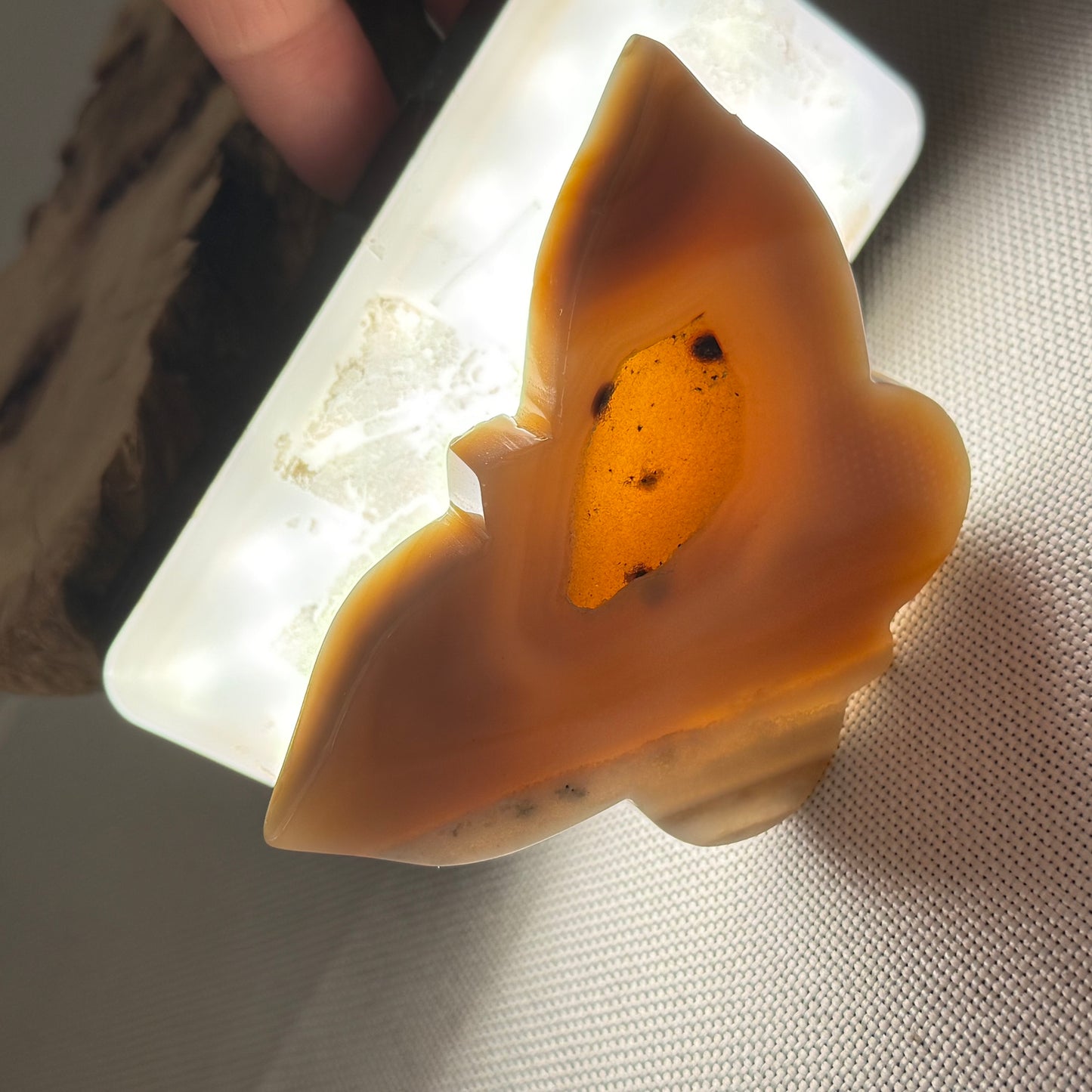 Druzy Agate Butterfly