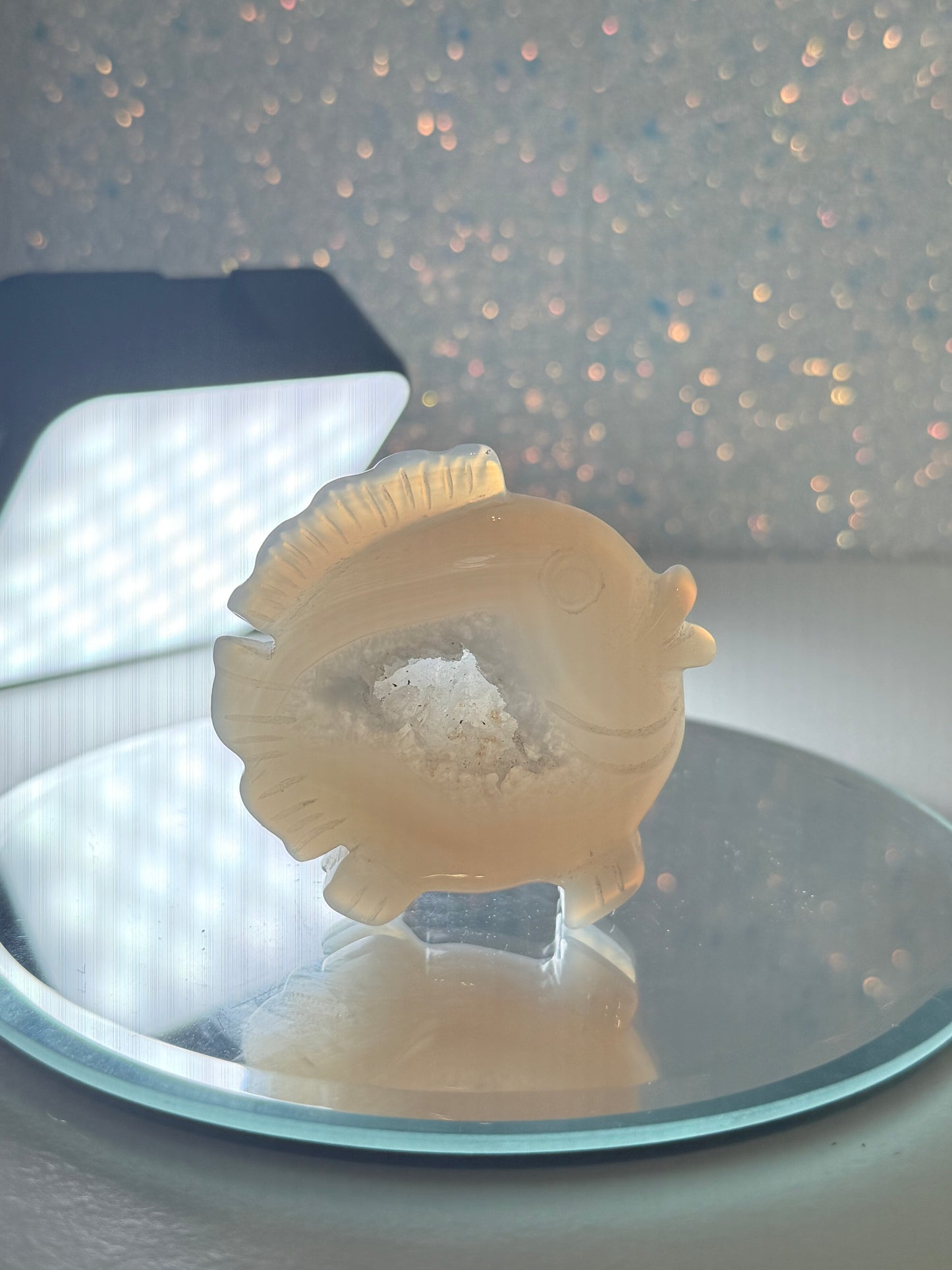 Druzy Agate Fish (B)