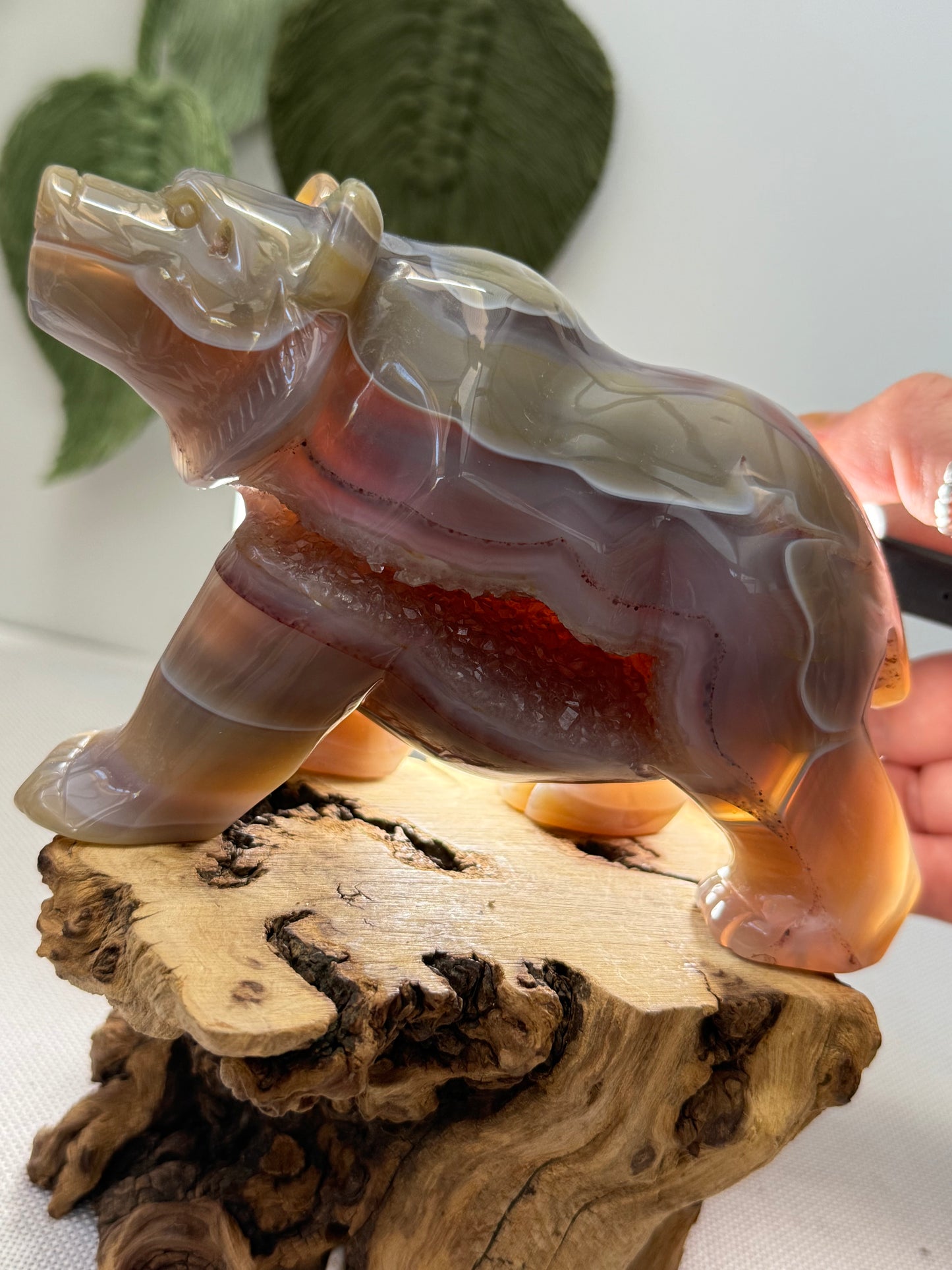 XL Druzy Agate Bear