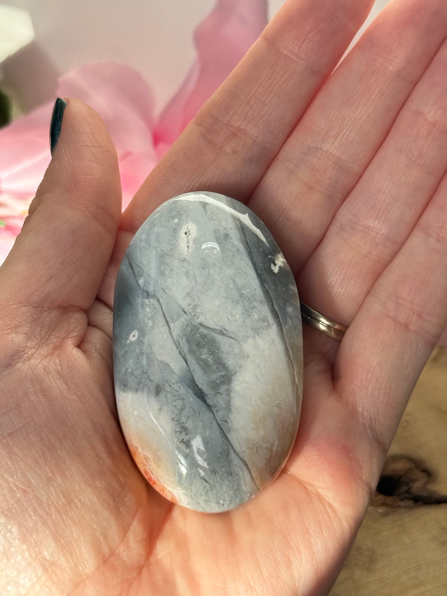 Petrified Wood Palm Stone
