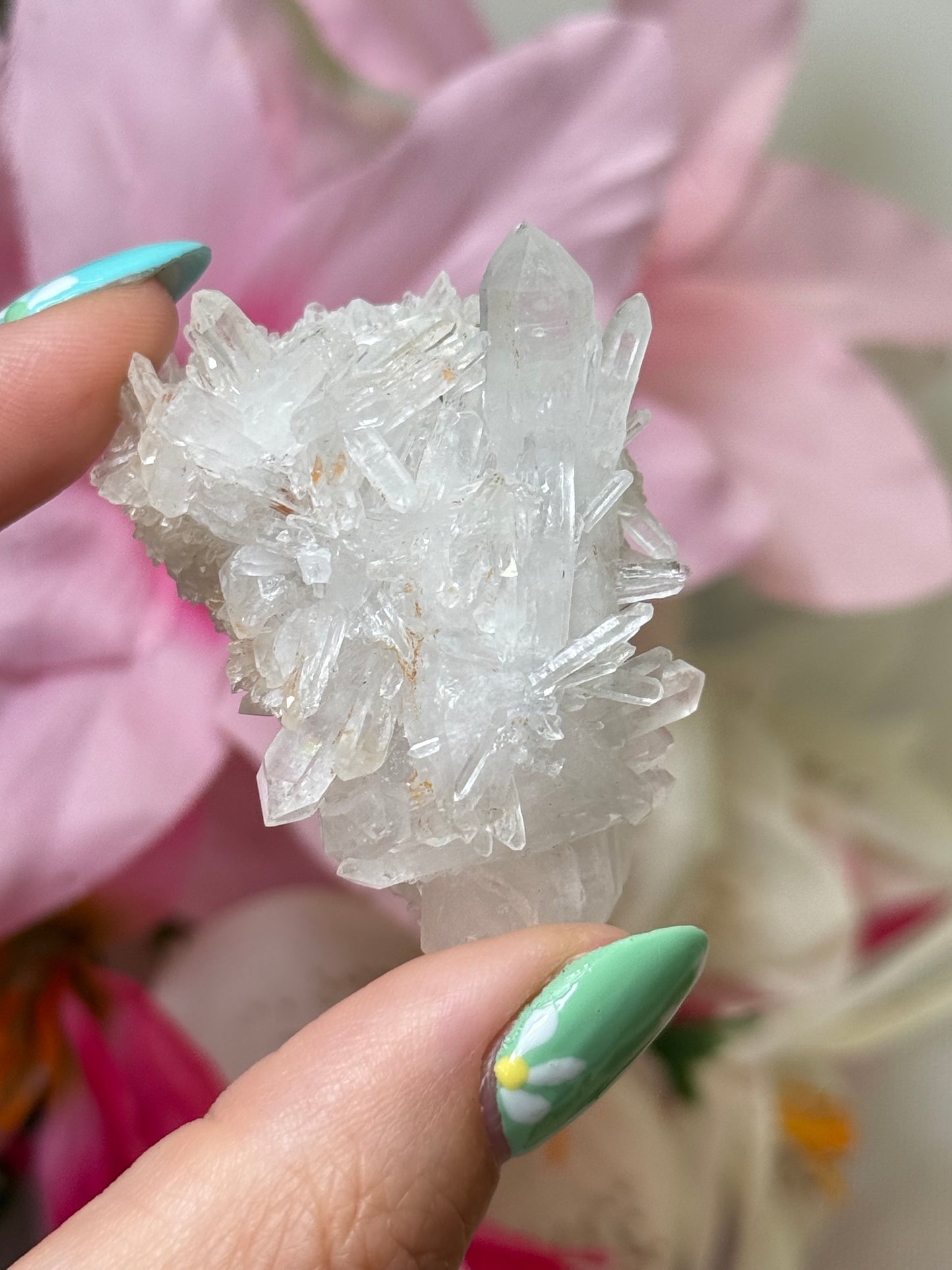 Chrysanthemum Quartz Raw