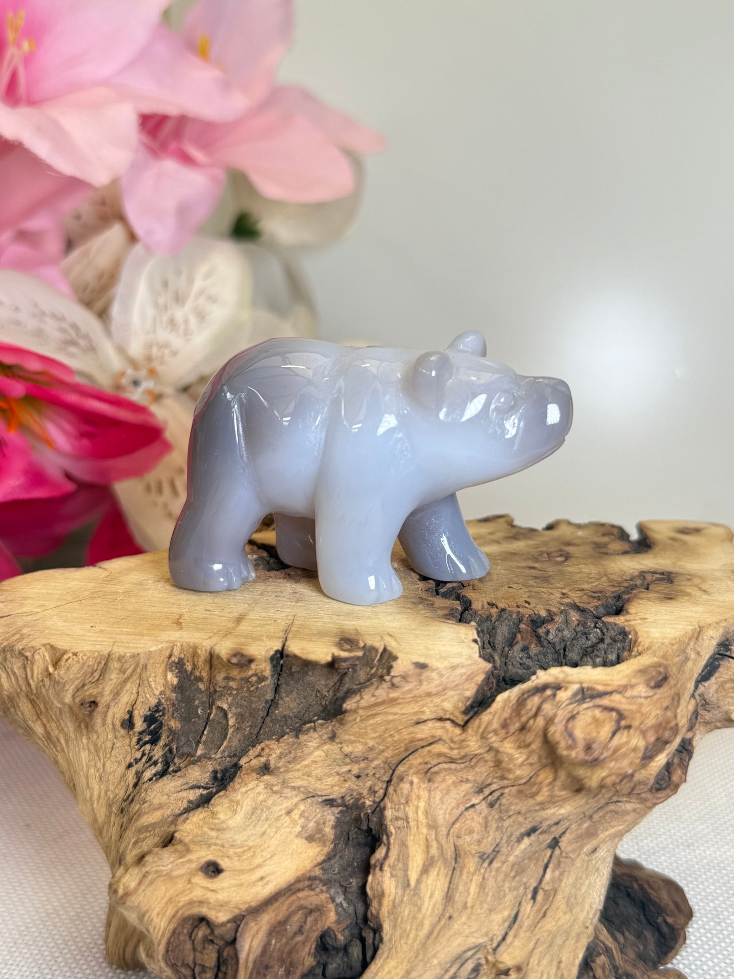 Agate Bear